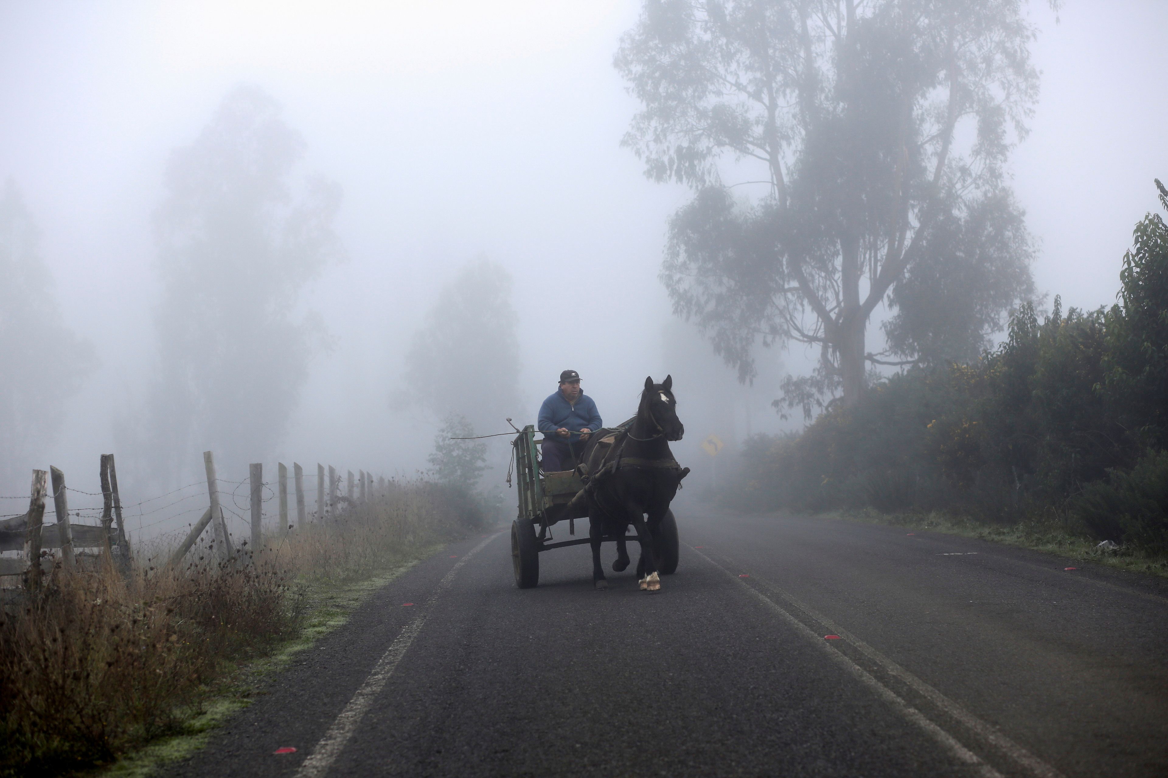 Temuco cuenta con un clima principalmente oceánico. (Reuters/Archivo)