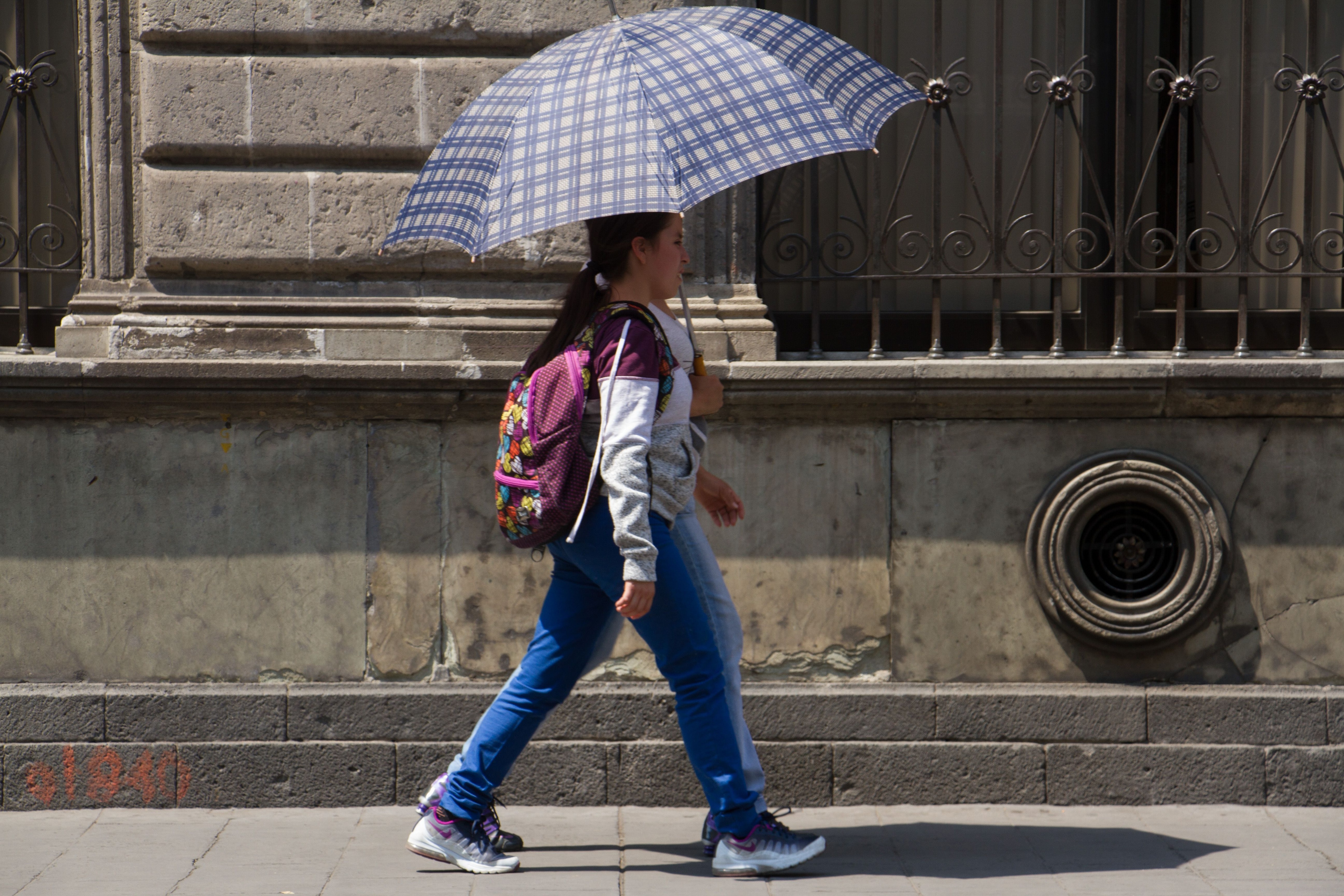 En México se identifican hasta siete tipos de clima. (Archivo Infobae)