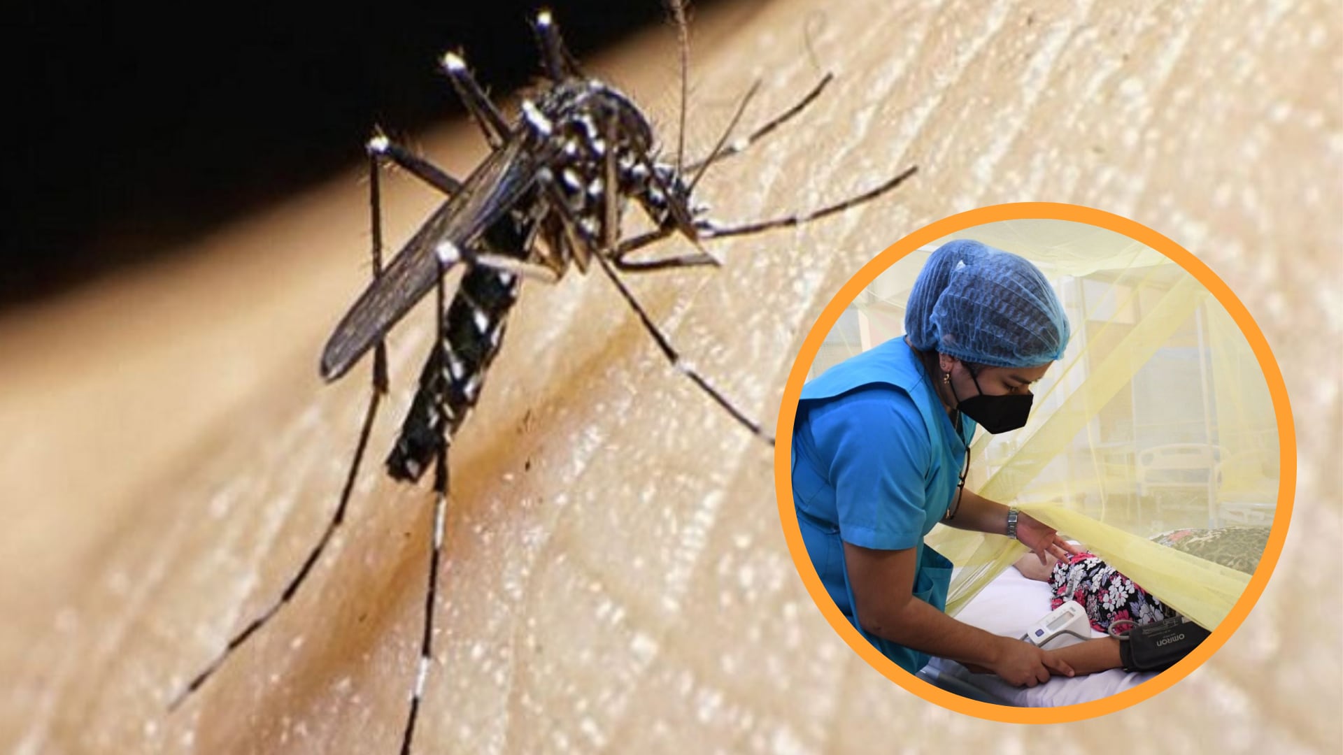 El dengue está cobrando un alto costo en Perú, con más de 18 mil casos reportados y 10 muertes en las primeras seis semanas del año. (Composición: infobae / Andina)