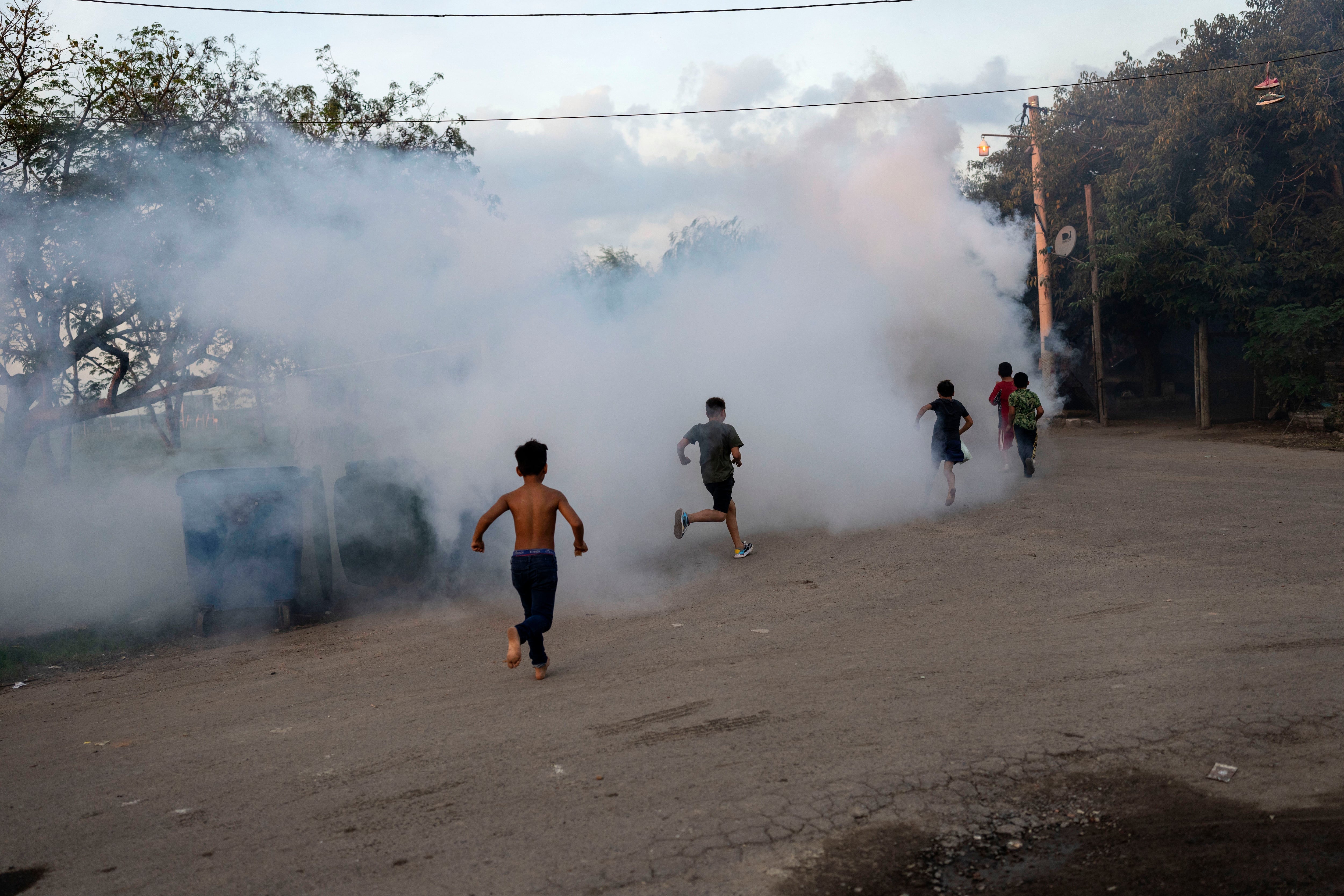 Una de las formas de prevención es la fumigación (AP Foto/Rodrigo Abd)