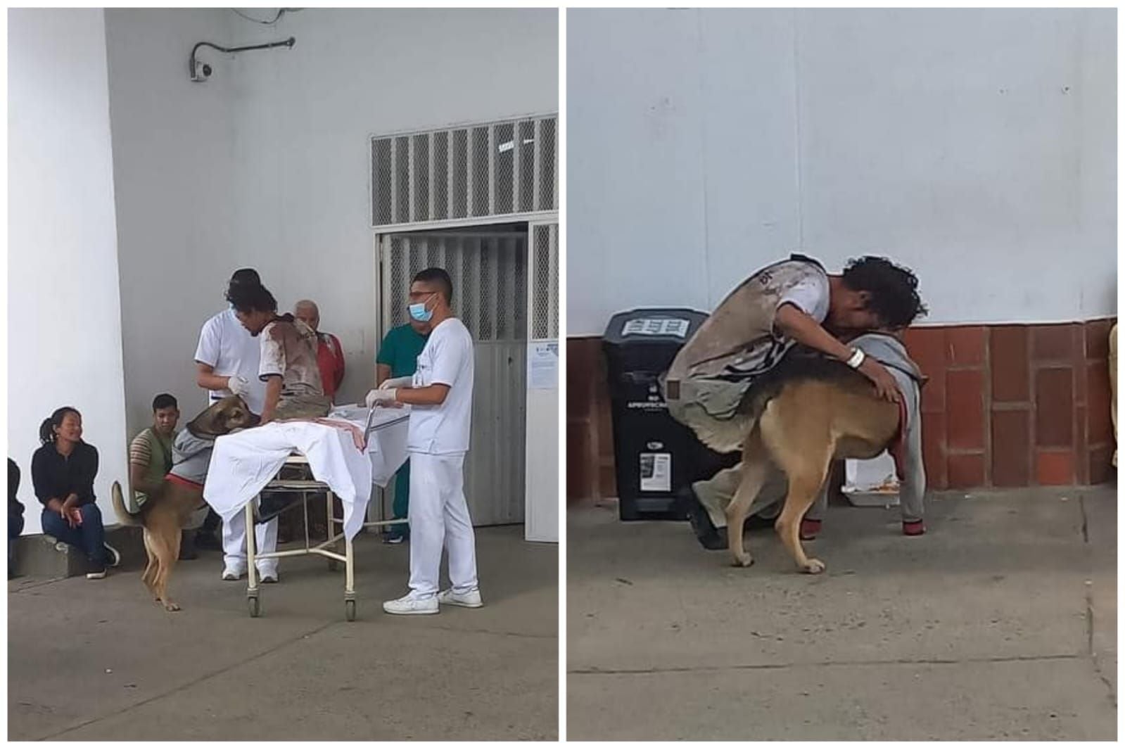 La imagen de un perro custodiando las pertenencias de su dueño, un habitante de calle, mientras recibe atención médica, emociona a Popayán - crédito captura de pantalla Popayán En Vivo / Facebook