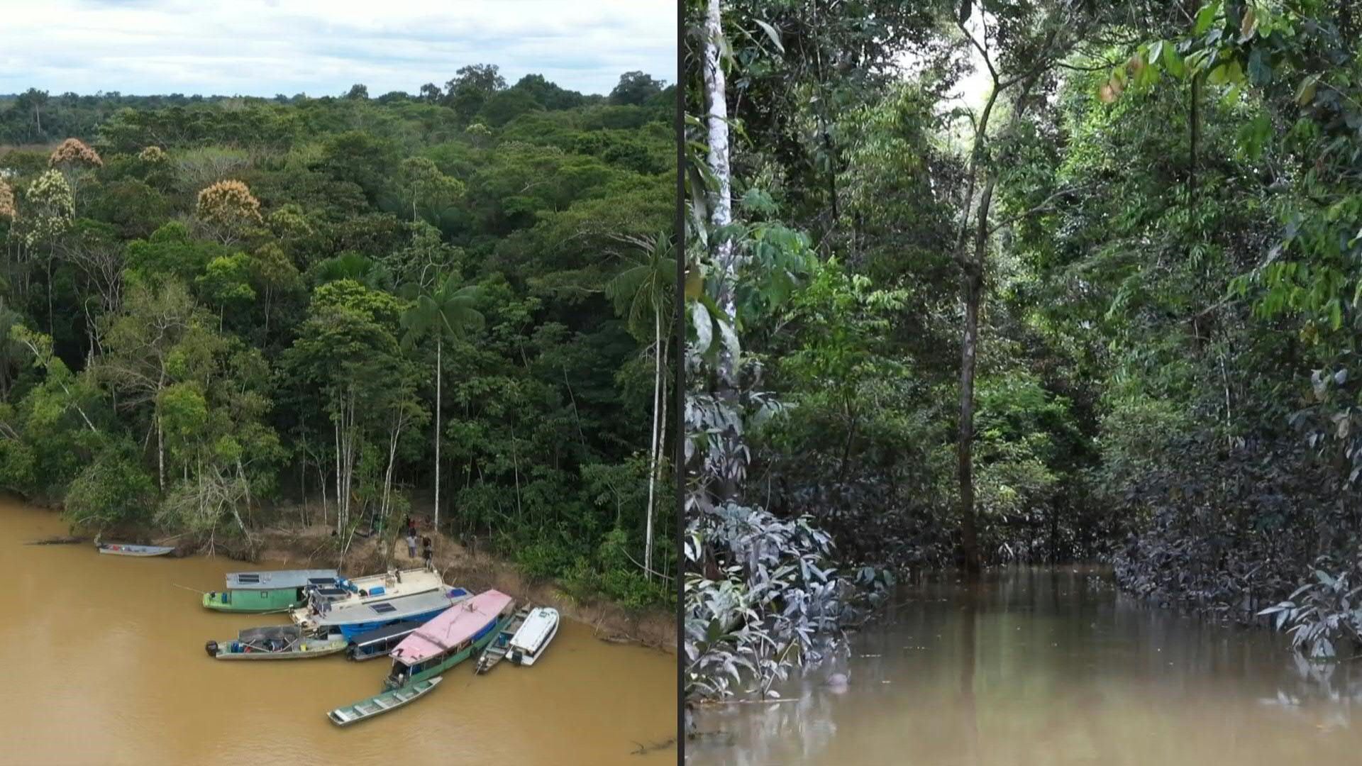 La Amazonia se ha convertido en la puerta de entrada al país de la cocaína de Bolivia, Perú y Colombia (AFP/Joao Laet)