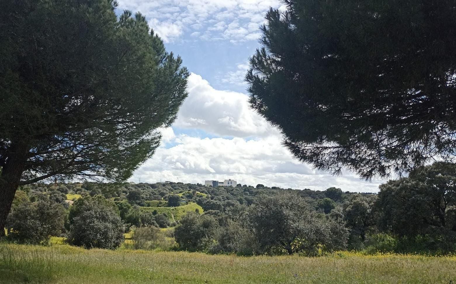 El Parque Forestal de Montegancedo