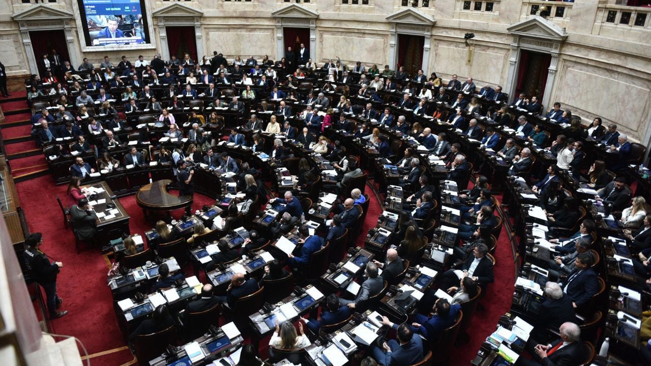 Debate Ley Bases en el congreso de la nación - Diputados - 29.04.2024