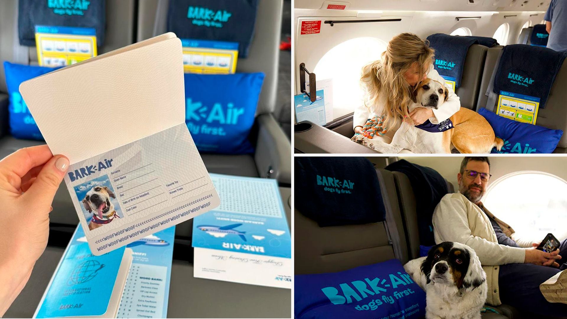 Los perros pueden viajar cómodos en Bark Air