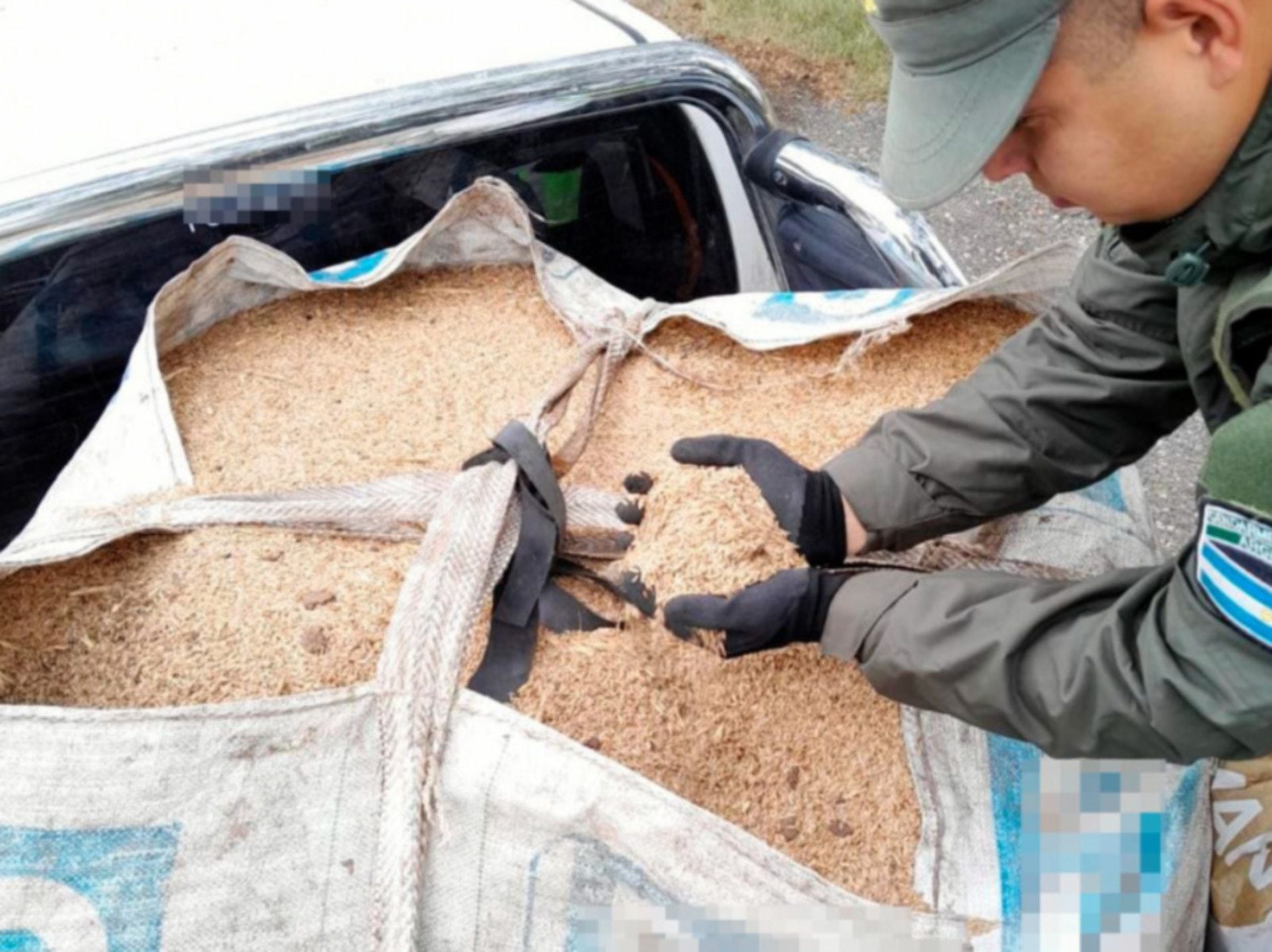 Transportada en dos camiones, Gendarmería decomisó en Córdoba más de 60 toneladas de cereales (GNA)
