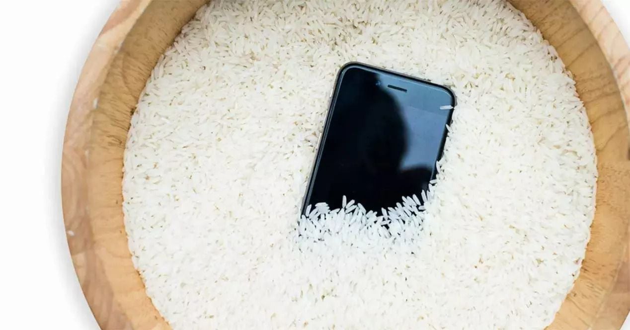 El 44 % de las personas encuestadas indican que han intentado poner el celular en arroz para recuperar su dispositivo dañado por el agua. (MovilZona)