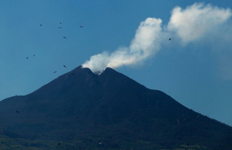El volcán de Pacaya está ubicado entre los municipios de San Vicente Pacaya del departamento de Escuintla, Amatitlán y Villa Canales del departamento de Guatemala. (Reuters/Luis Echeverría)