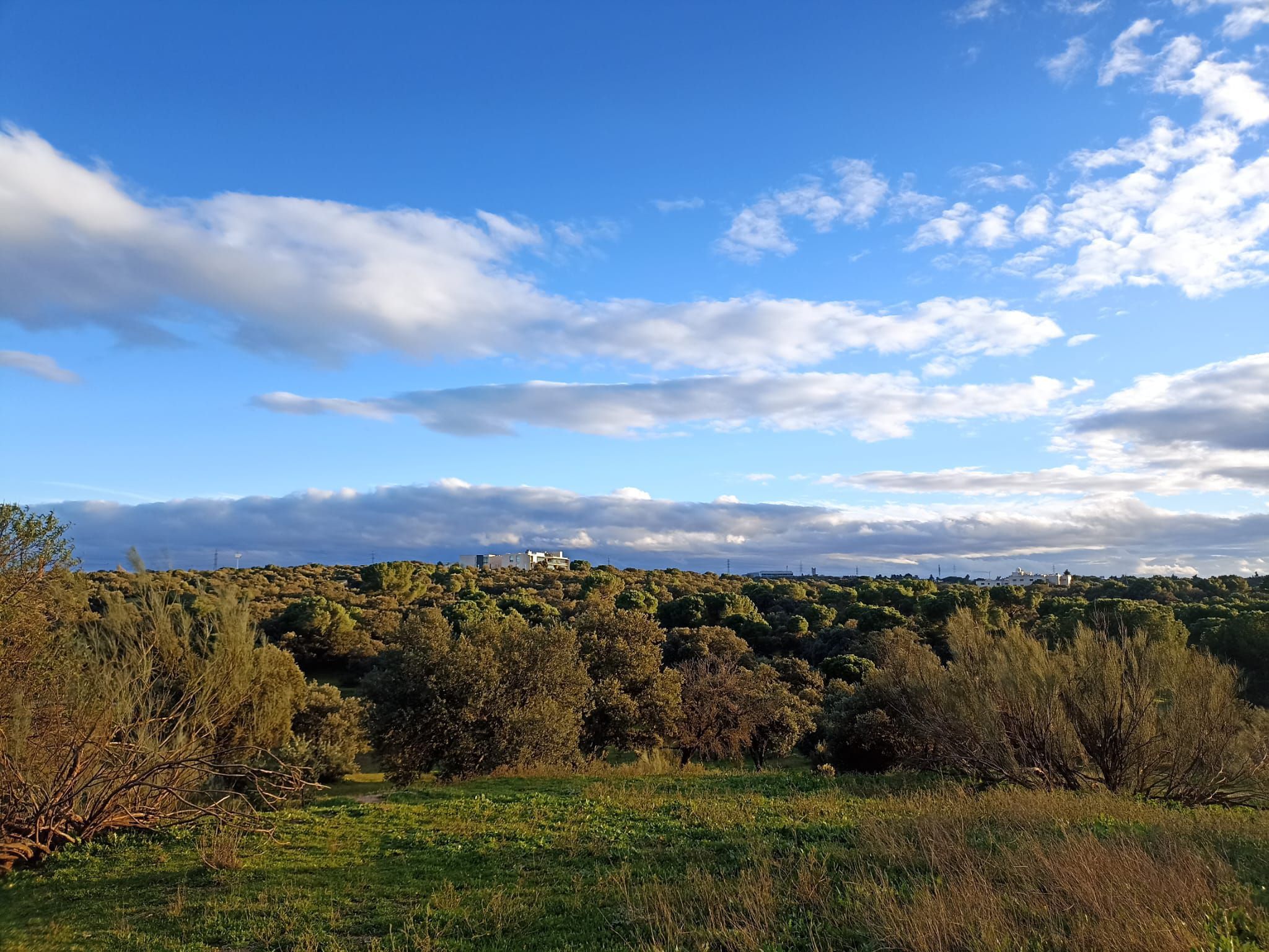 El Parque Forestal de Montegancedo