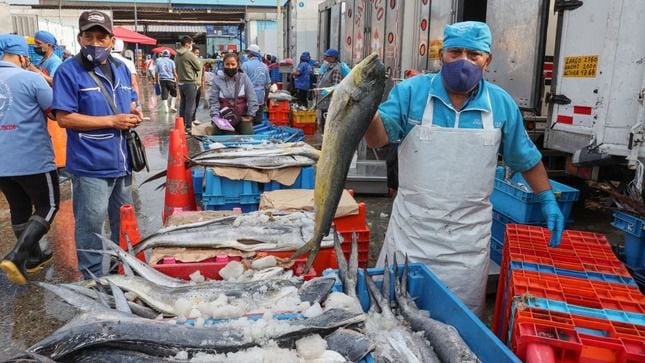 El Ministerio de la Producción, a través de Sanipes, recomienda verificar las branquias, la piel y el olor del pescado.