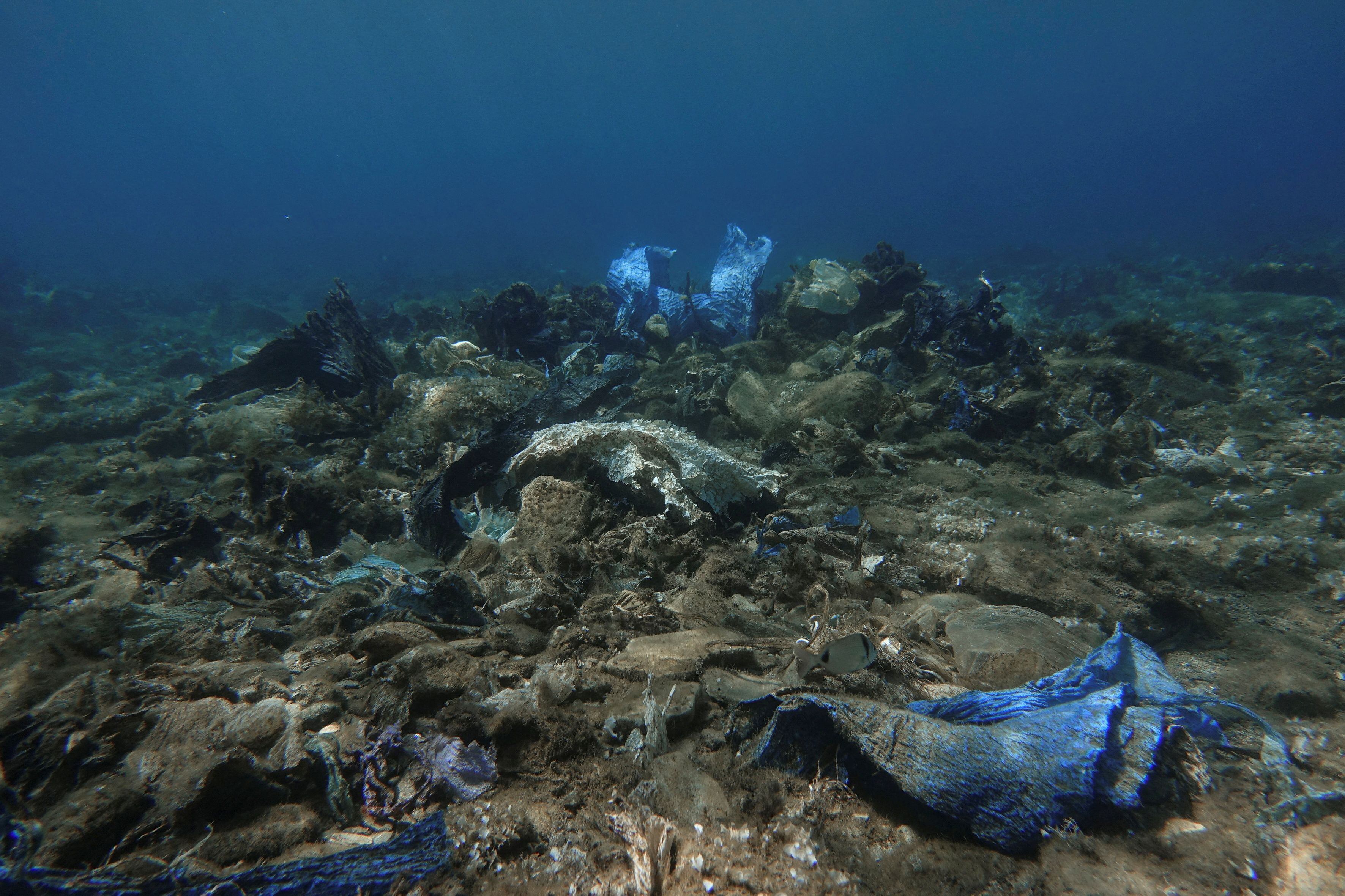 La mayoría de los plásticos biodegradables no se desintegran en vertederos, ríos o el océano, y pueden liberar químicos tóxicos al ser quemados (REUTERS/Stelios Misinas/File Photo)