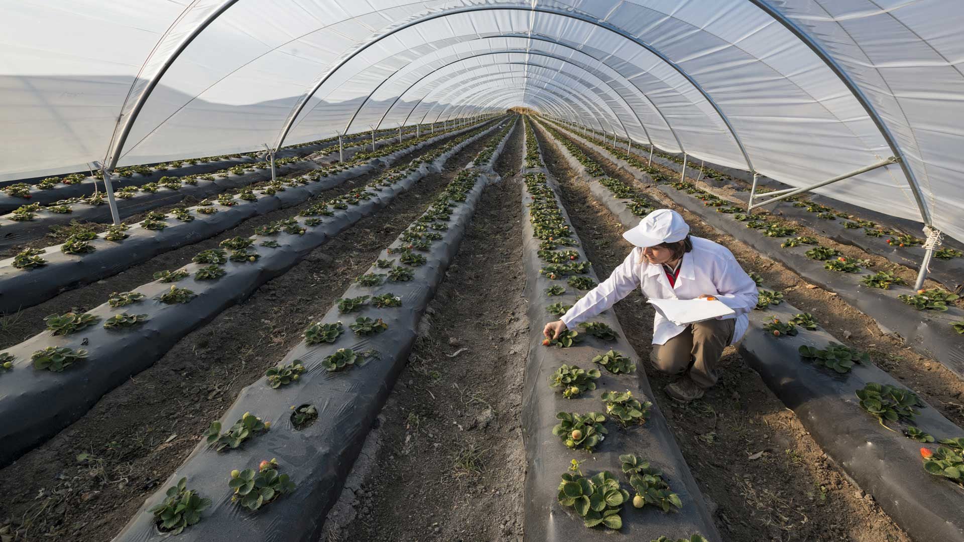 “Los consumidores empezaron a tomar más conciencia de la magnitud del cambio climático y de las emisiones de gases de efecto invernadero", sostiene Piña