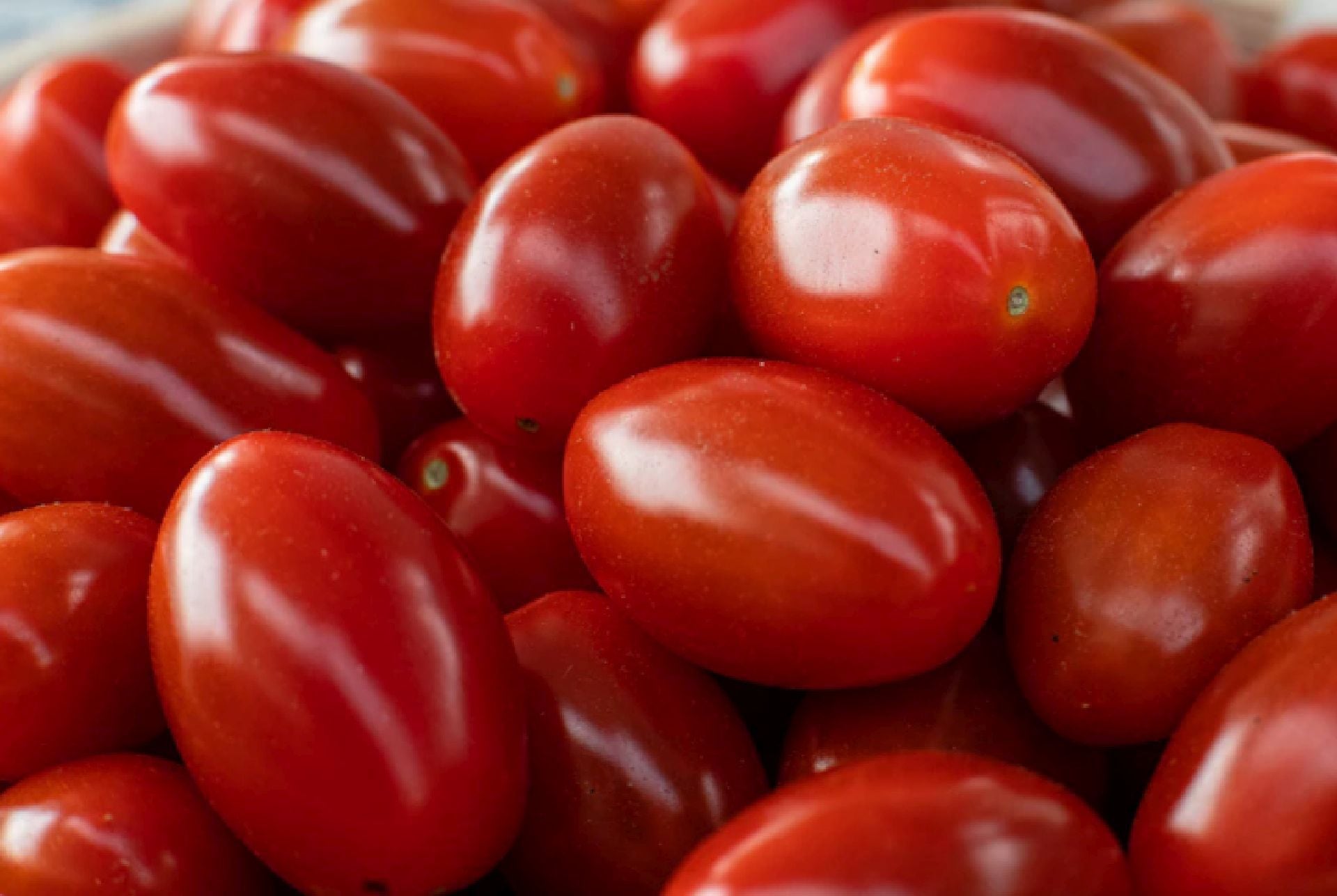 El tomate es considerado una fruta según la definición de la Real Academia Española (RAE) (Freepik)