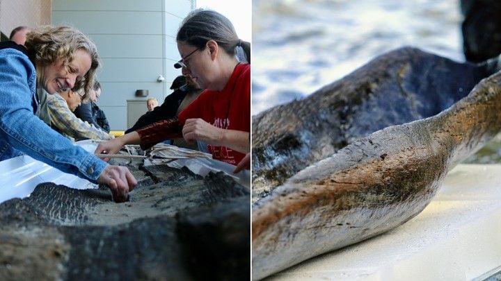 El descubrimiento prehistórico en un lago de EE. UU. deja a los expertos conmocionados y asombrados