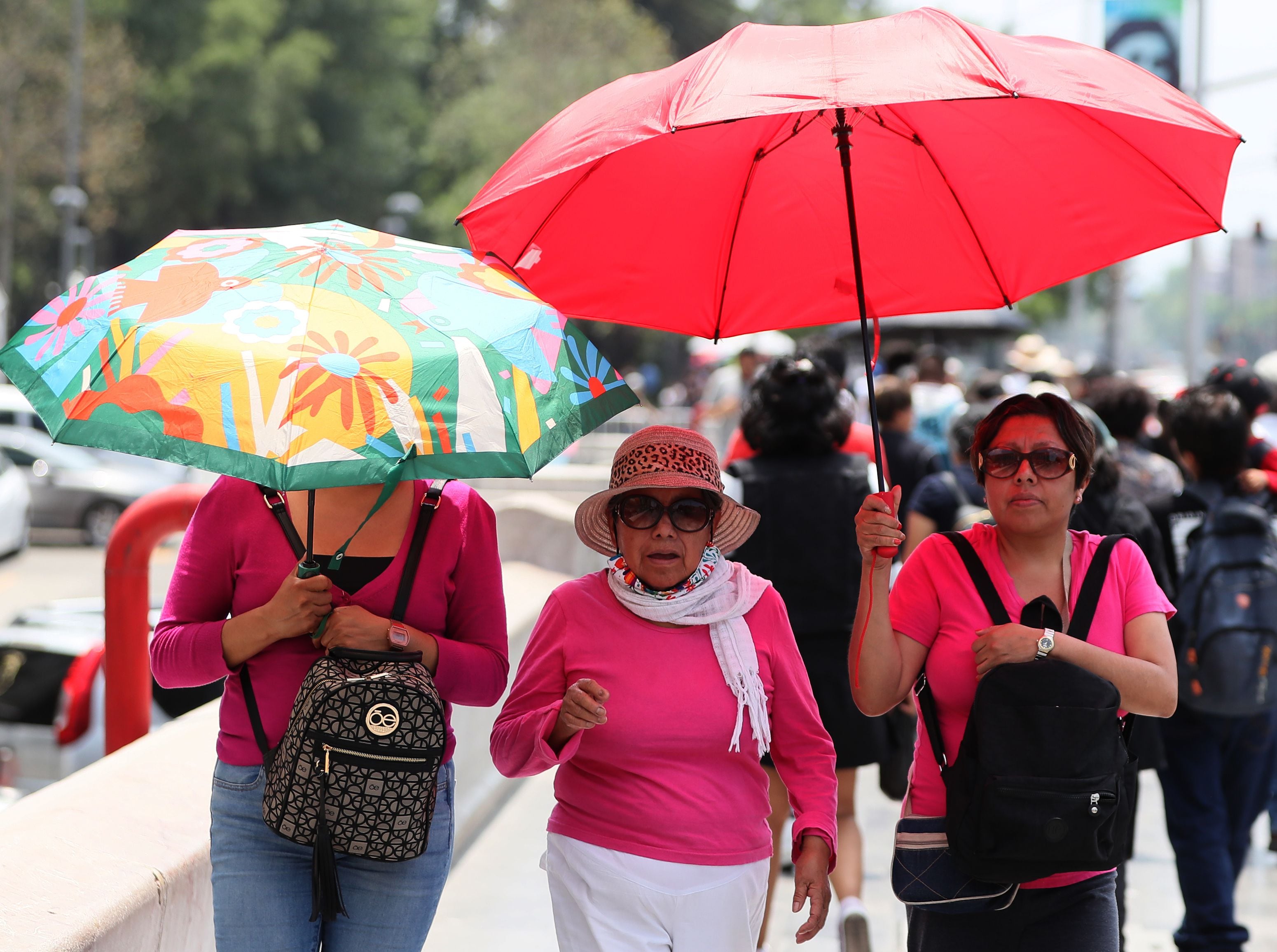 Es imporante saber cómo prevenir las afecciones causadas por el calor (EFE/Mario Guzmán)
