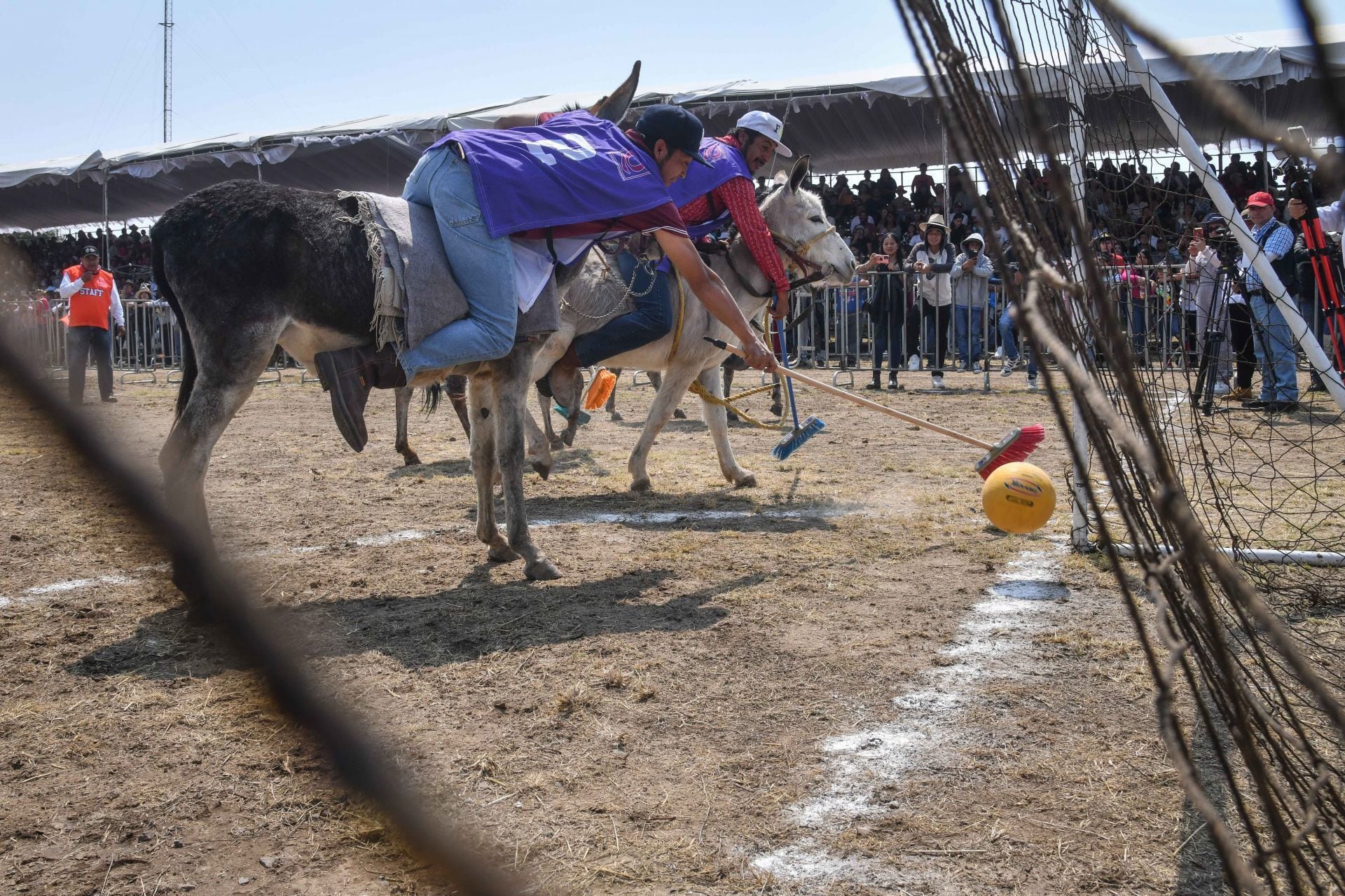 Estas actividades sirven para dar a conocer la riqueza cultural del municipio. (Cuartoscuro/Mario Jasso).

Burros, equinos, feria nacional del burro 2024, Otumba, México, disfraces, polo, animales, mascotas