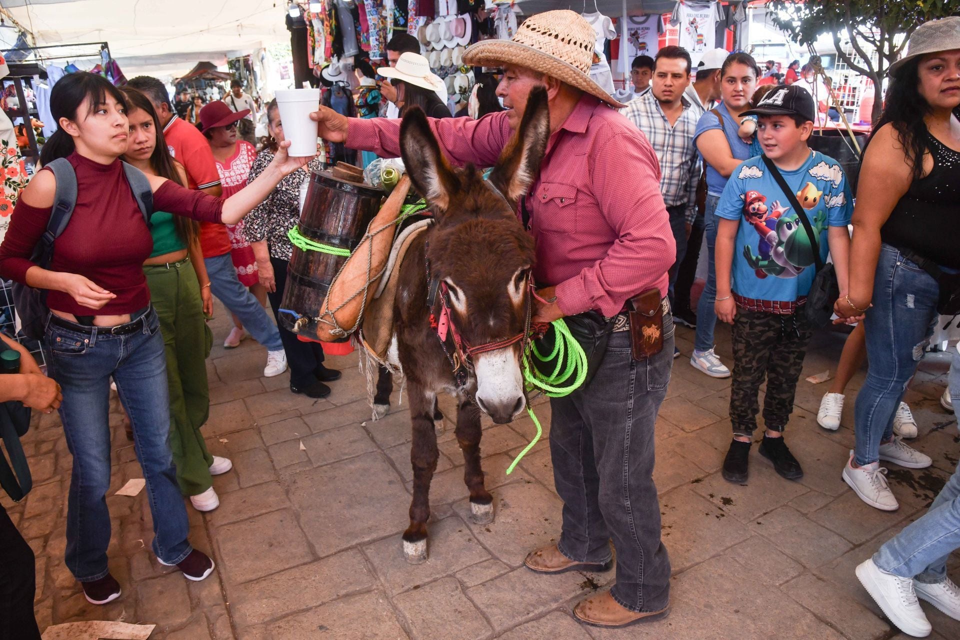 Los burros reciben el cariño y admiración de miles de asistentes.(Cuartoscuro/Mario Jasso).

Burros, equinos, feria nacional del burro 2024, Otumba, México, disfraces, polo, animales, mascotas