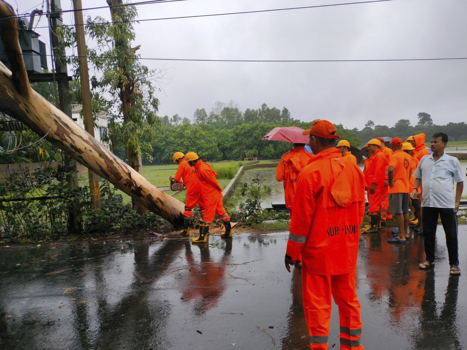 Rescatistas de la Fuerza Nacional de Respuesta a Desastres de India (NDRF) retiran árboles caídos mientras supervisan los daños del ciclón Remal  (NDRF via AP)