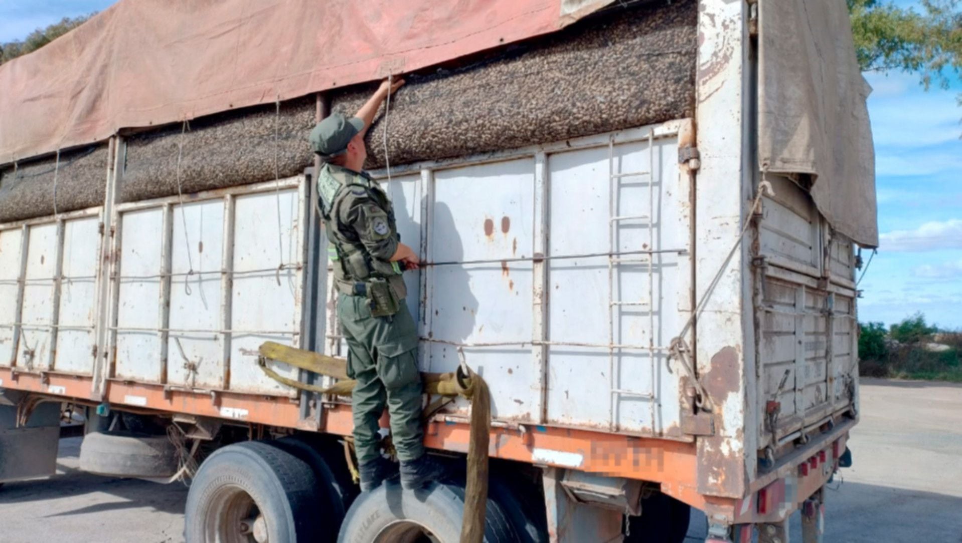 Córdoba: Gendarmería controló camiones que transportaban más de 400 toneladas de granos con irregularidades en la documentación (GNA)
