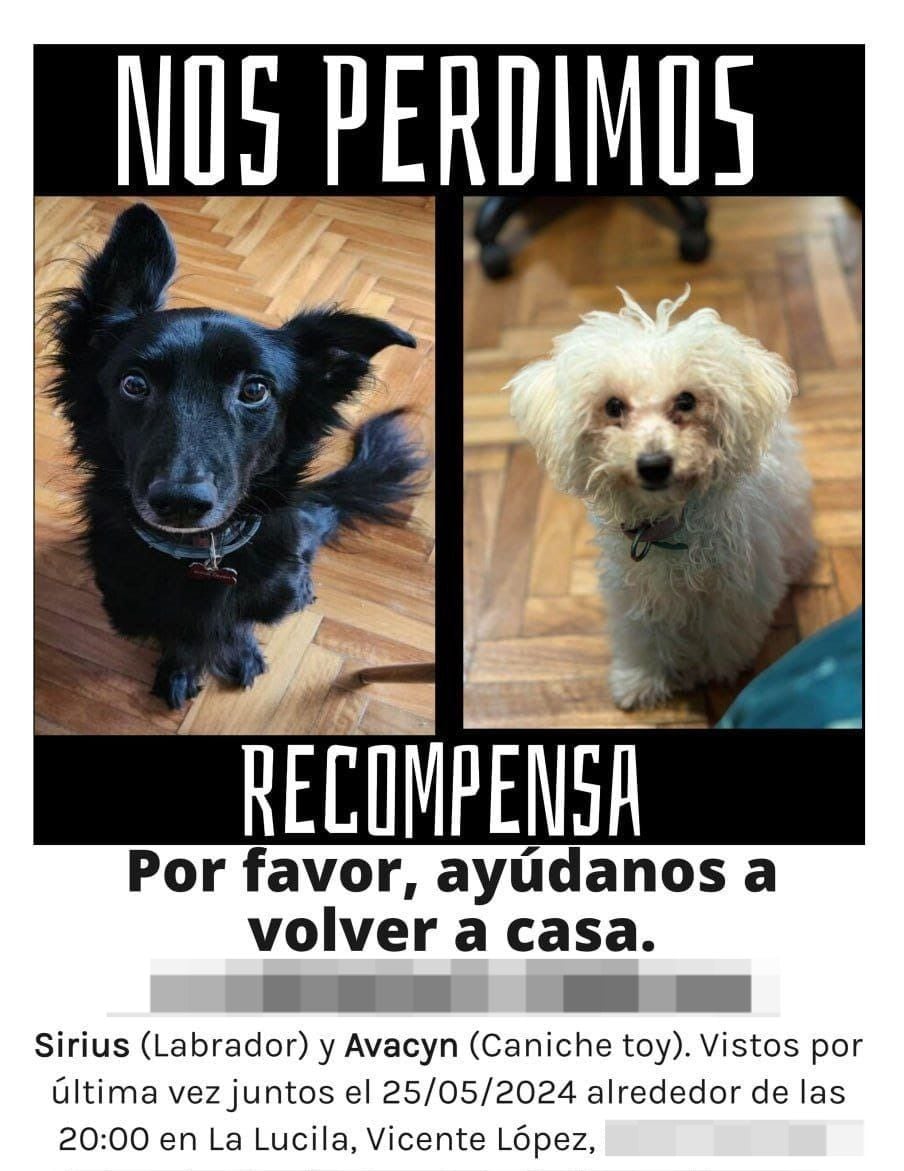 Virales- perros perdidos en Vicente Lopez