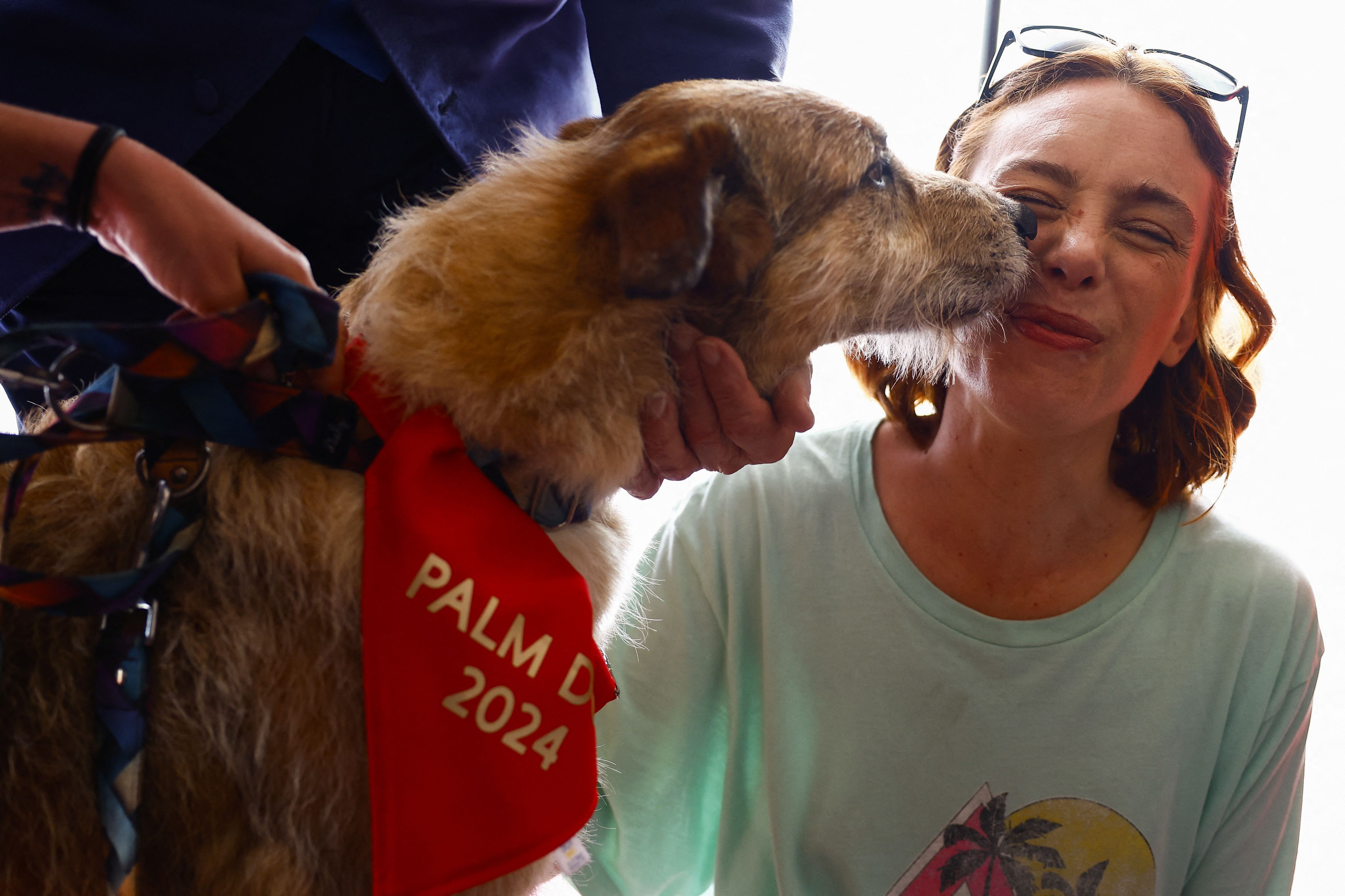 Kodi, el perro protagonista de "Dog on Trial", no pudo asistir a la alfombra roja del estreno de su película pero pudo festejar su premio con la directora del film, Laetitia Dosch. REUTERS/Sarah Meyssonnier