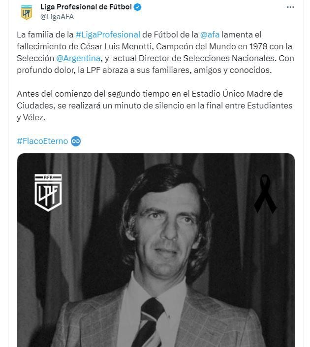 Liga Profesional Menotti