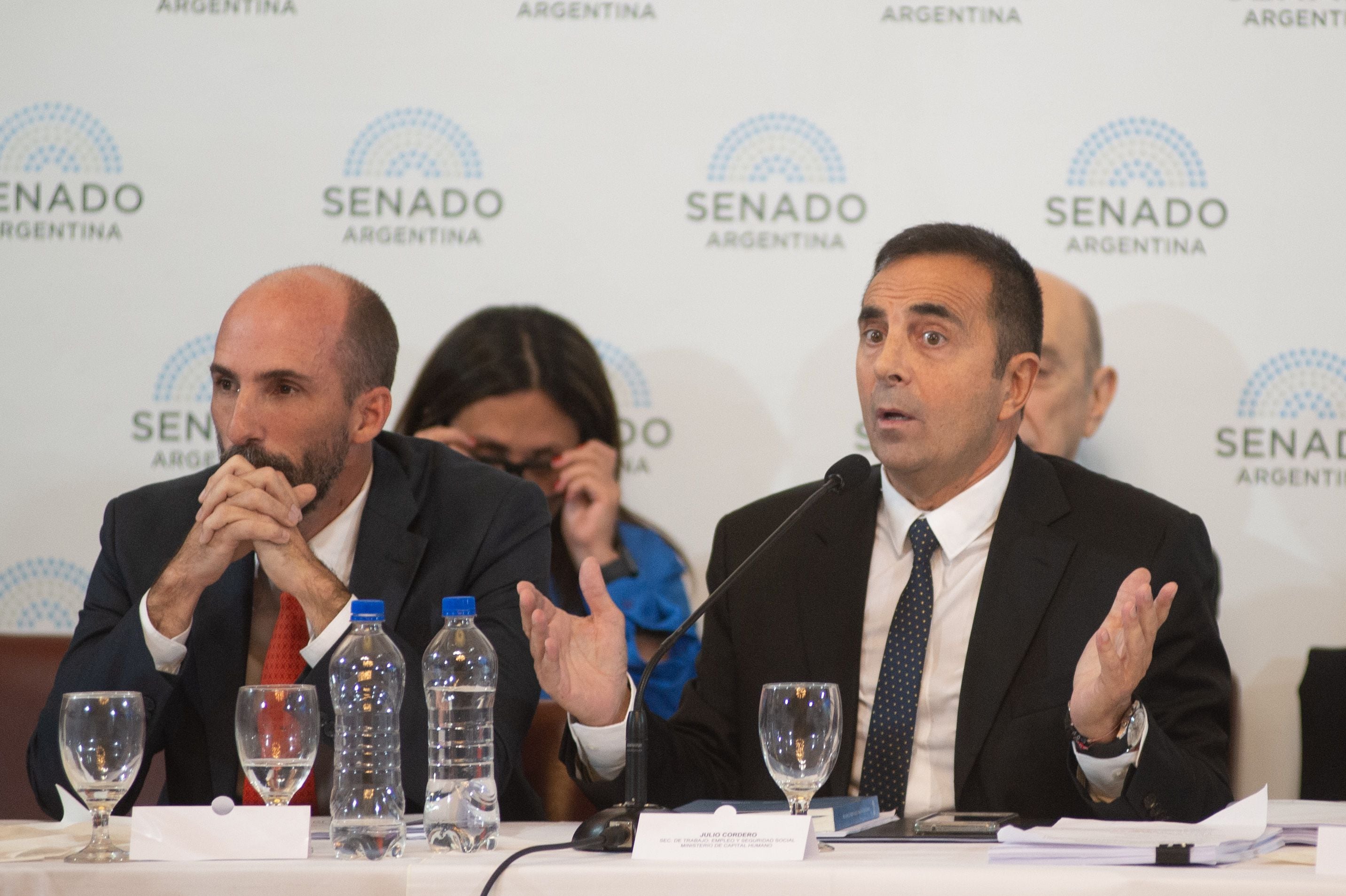 Ley Bases en el Senado: segundo día de discusión en plenario de comisiones