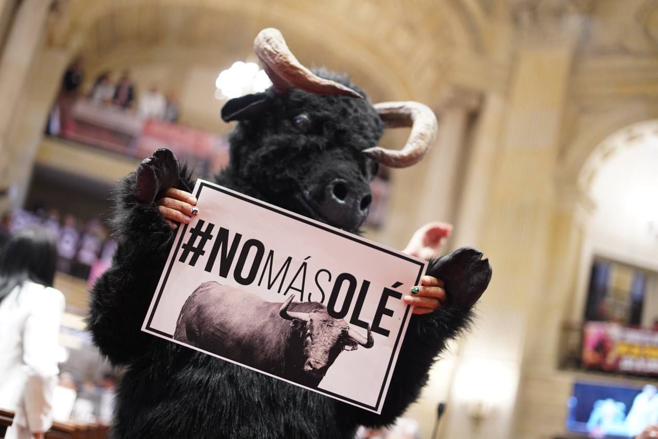 Animalista protesta contra las corridas de toros en la Cámara de Representantes de Colombia