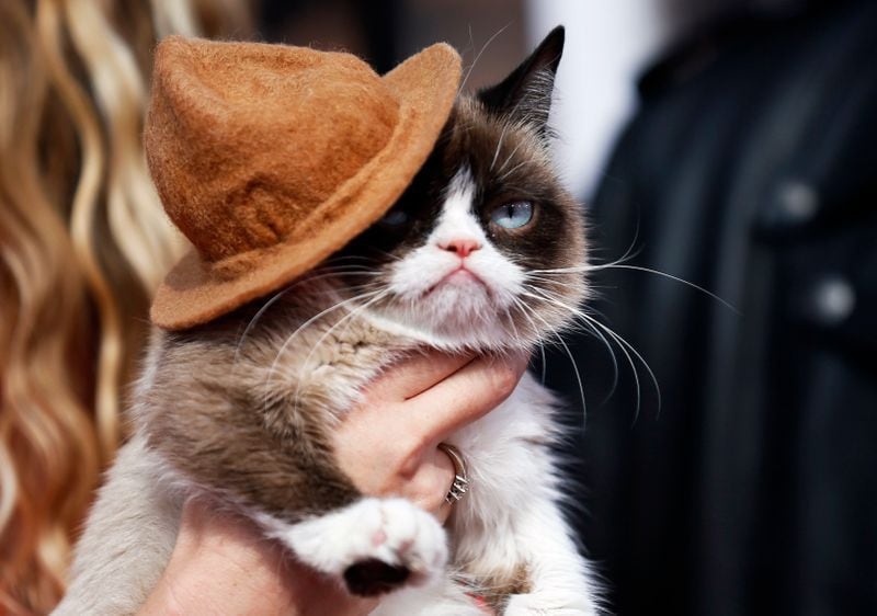 Foto de archivo: Grumpy cat llega a los MTV Movie Awards 2014 en Los Ángeles, Estados Unidos. 13 de abril de 2014. REUTERS/Danny Moloshok