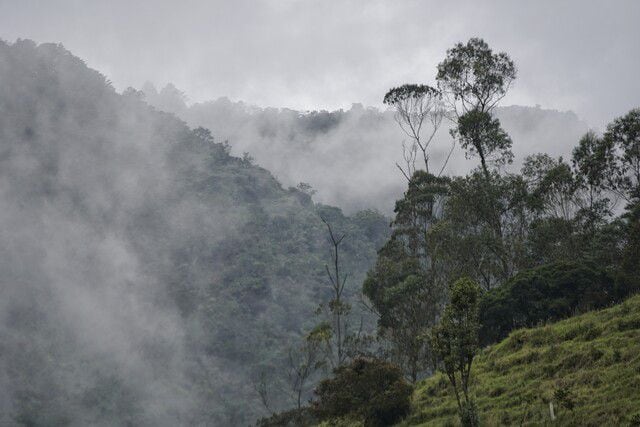 Estos son los retos en materia de medio ambiente que enfrentará Colombia en 2023