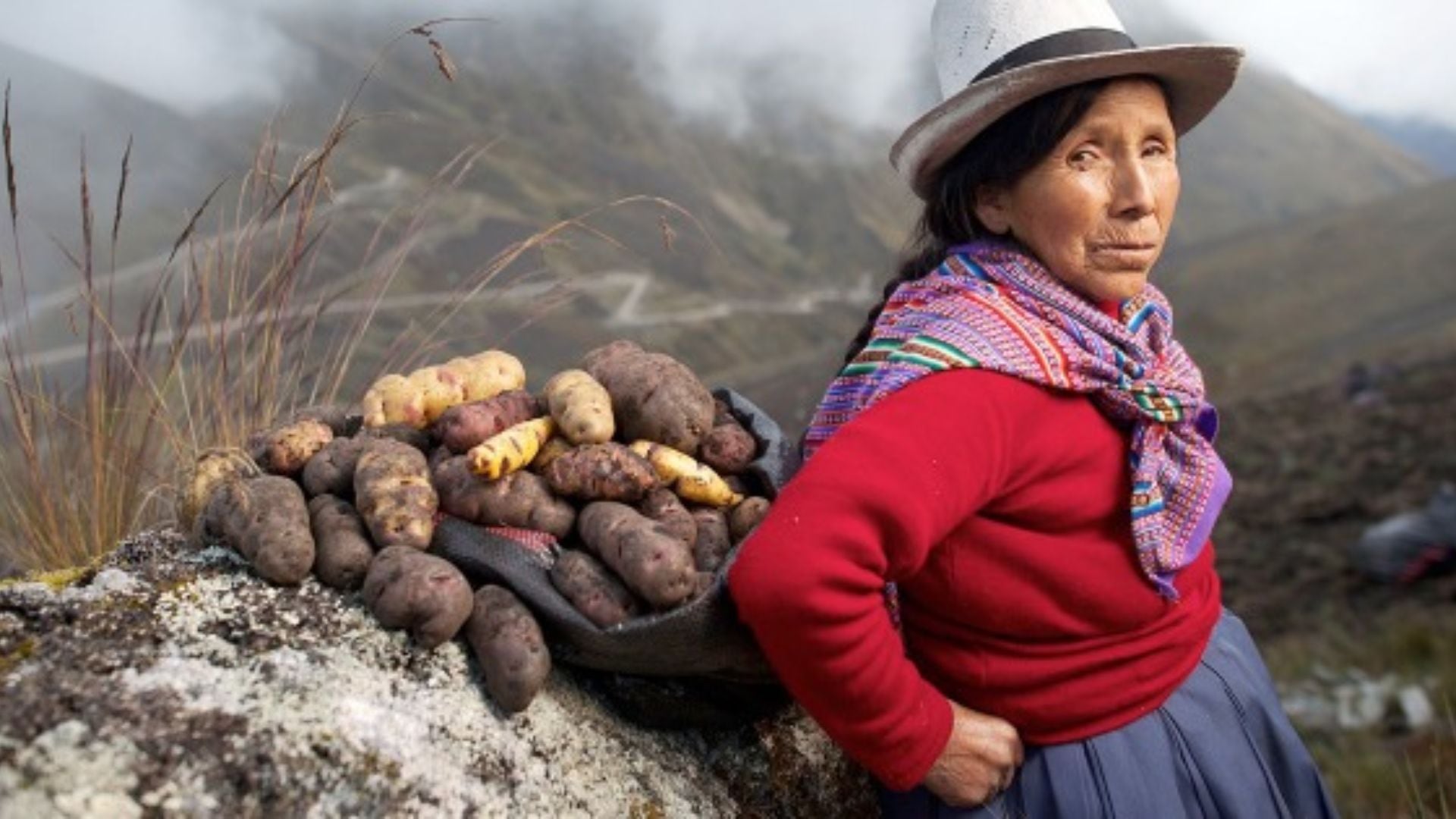 El Día Internacional de la Papa pone de relieve su importancia histórica y cultural, mientras nuevos hallazgos en Perú confirman su origen milenario.
Foto: Analight Group