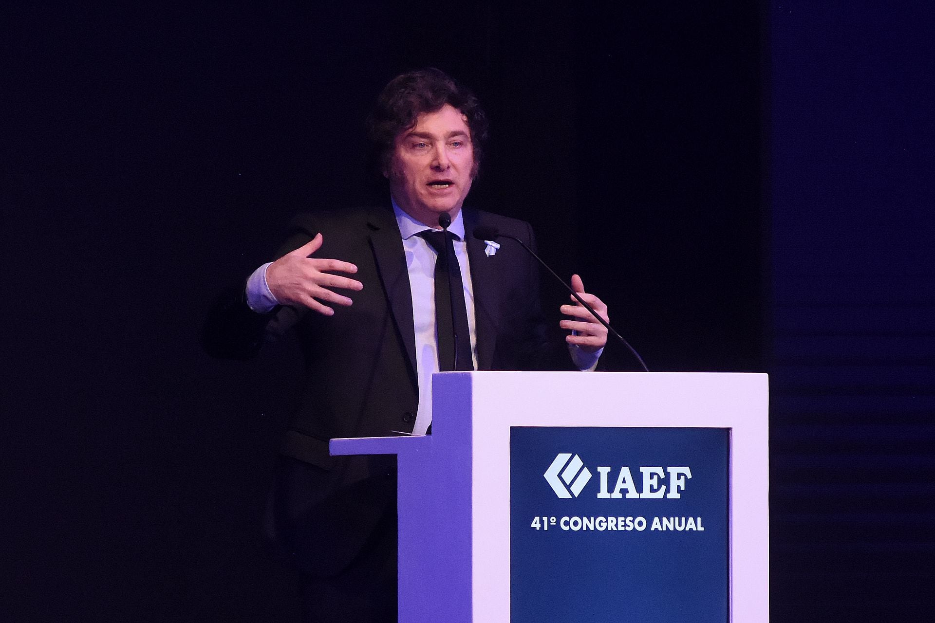 41º CONGRESO ANUAL DEL IAEF - Javier Milei