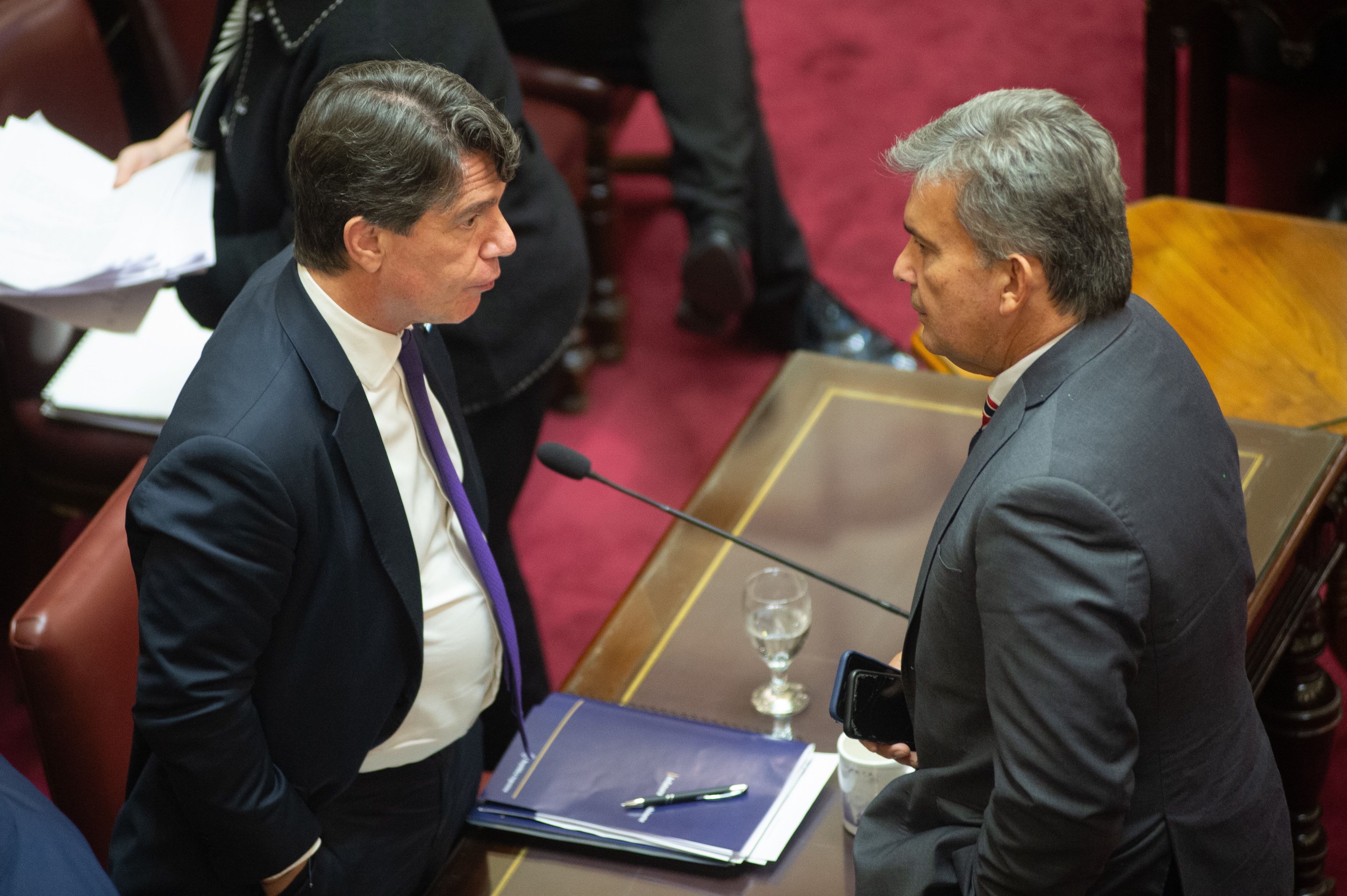 Nicolás Posse expone en el senado