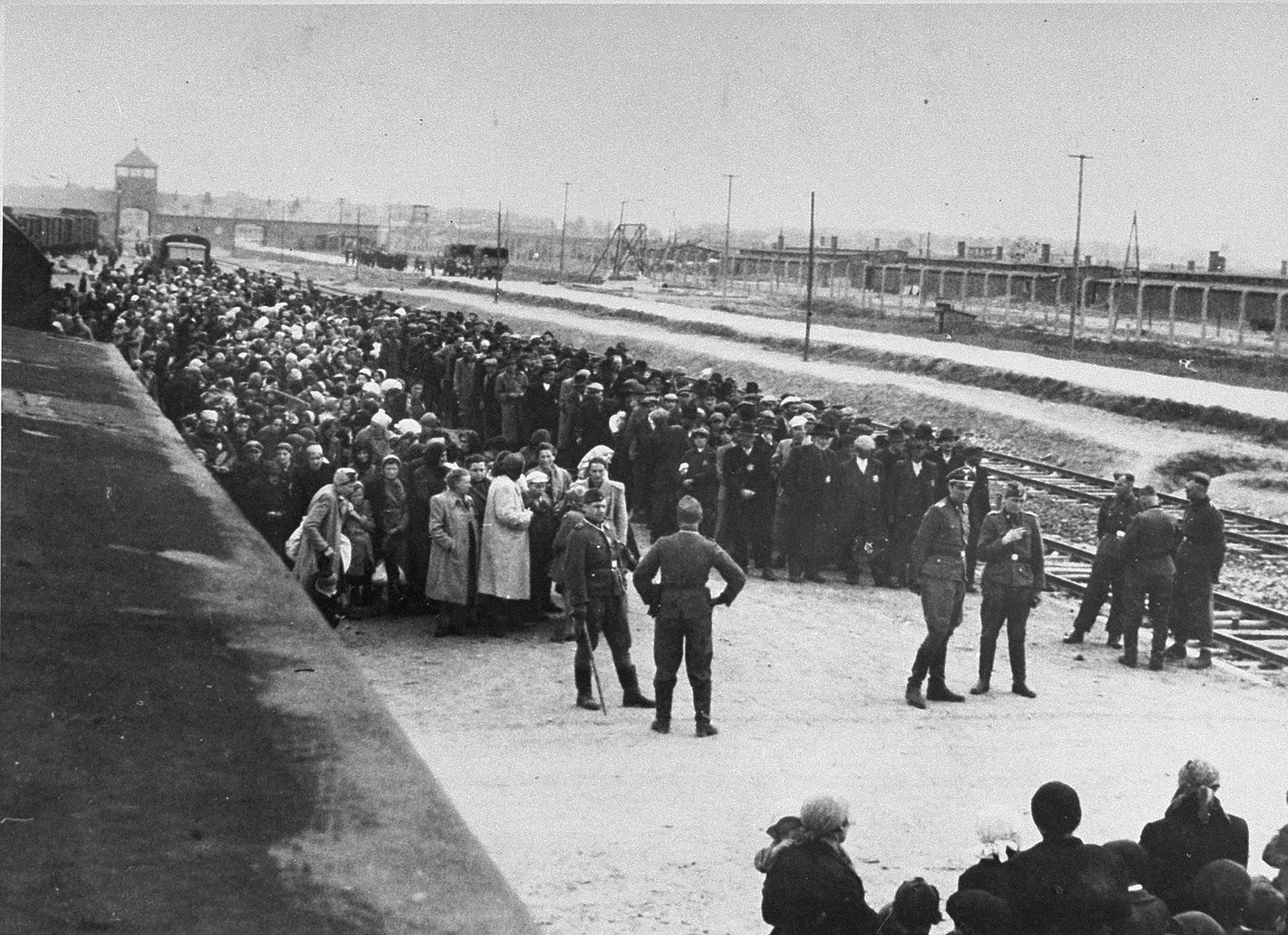 deportación de judíos húngaros desde Budapest hasta Auschwitz