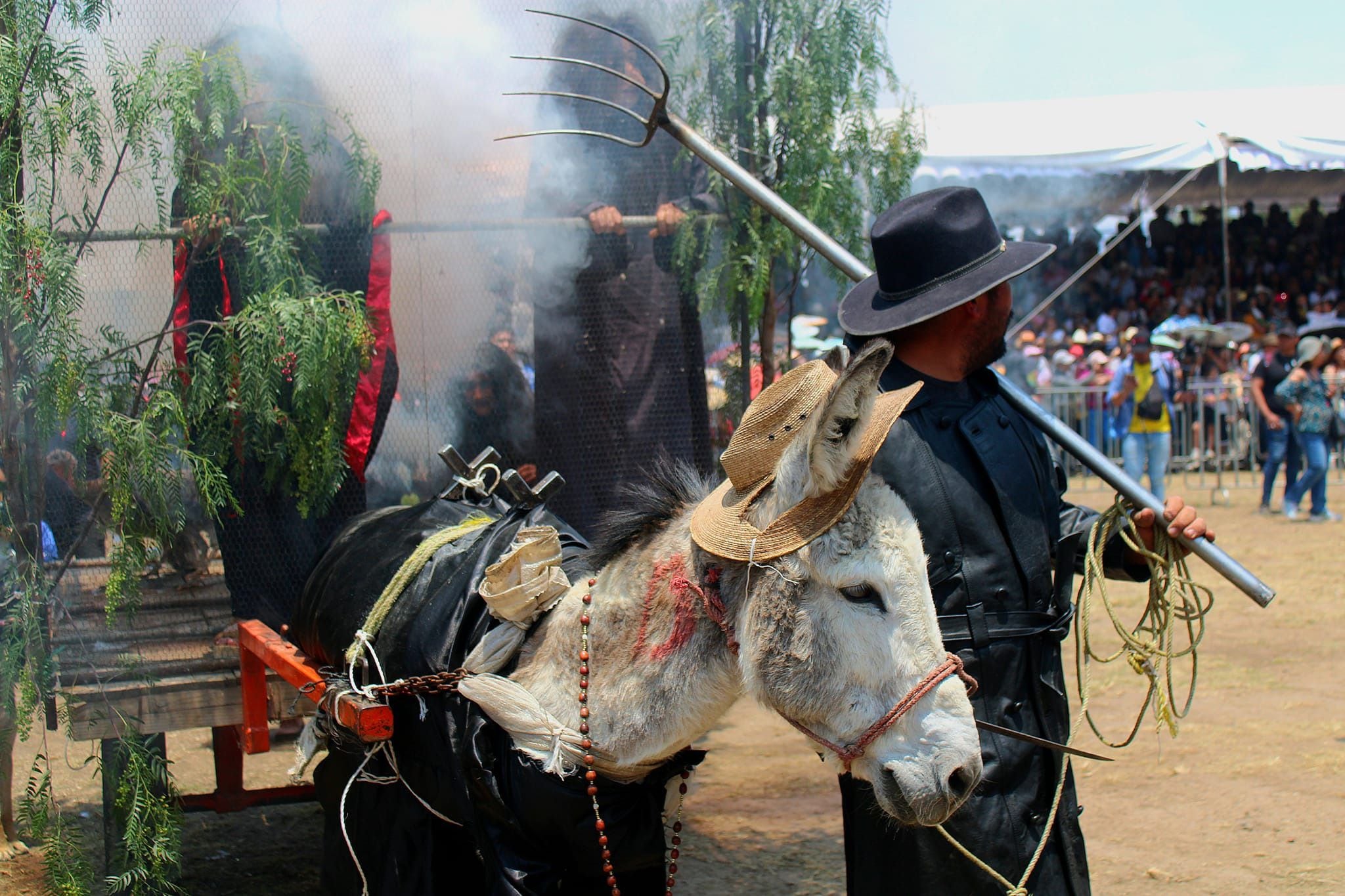 14 burros participaron en el concurso de disfraces; uno de los finalistas fue el "cazador de brujas". (Facebook/Feria Nacional del Burro Otumba 2024)

Burros, equinos, feria nacional del burro 2024, Otumba, México, disfraces, polo, animales, mascotas