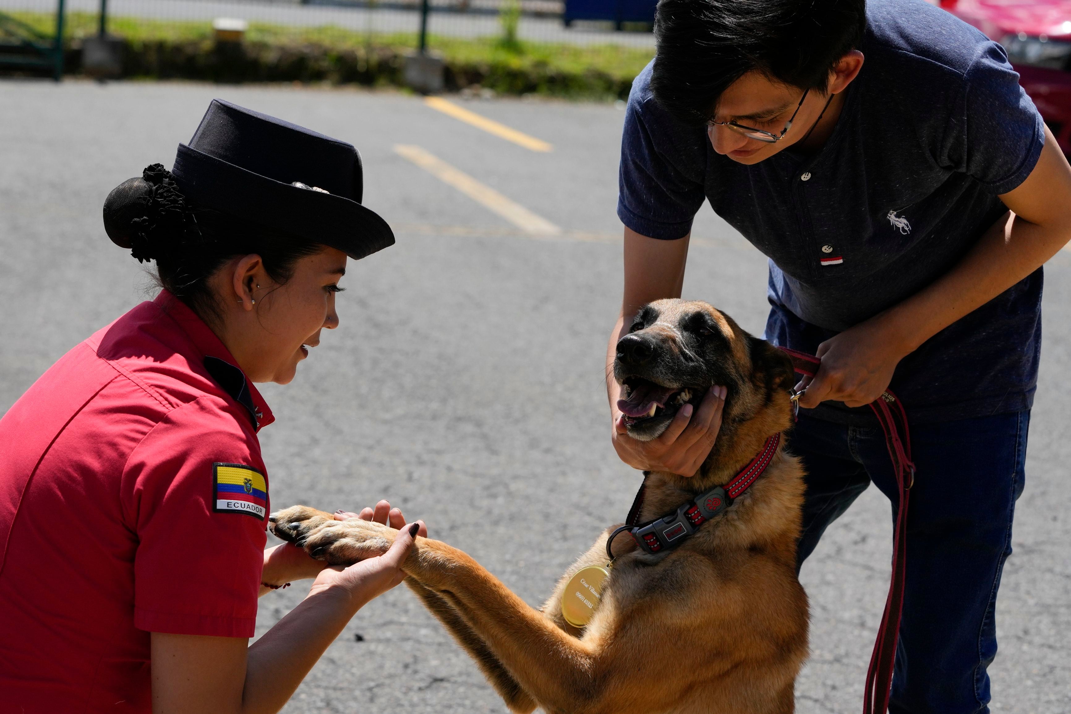 Perros rescatistas