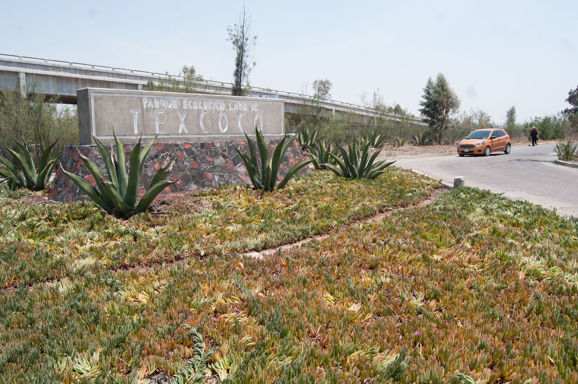 Claudia Sheinbaum le informó que esta zona es salada, al tiempo de ser un área natural protegida.

 Xóchitl Gálvez, lago de Texcoco, Claudia Sheinbaum