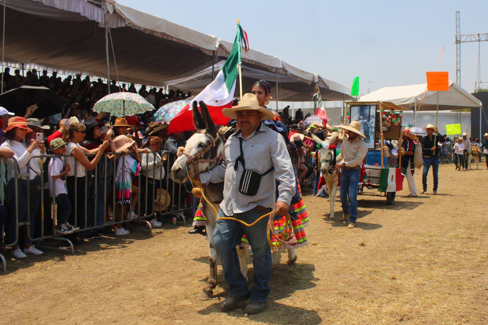 Los dueños se comprometieron con la producción e interpretación de sus personajes. (Facebook/Feria Nacional del Burro Otumba 2024).

Burros, equinos, feria nacional del burro 2024, Otumba, México, disfraces, polo, animales, mascotas