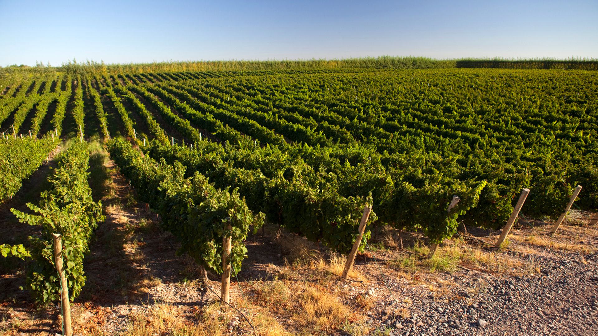 Bodega-del-Fin-del-Mundo