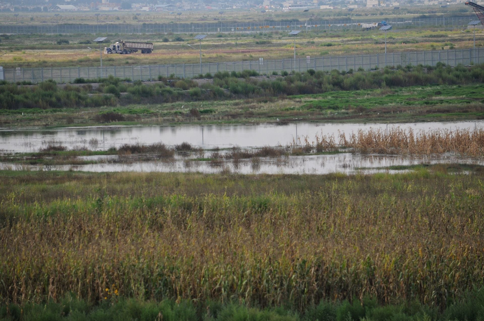 Claudia Sheinbaum le informó que esta zona es salada, al tiempo de ser un área natural protegida.

 Xóchitl Gálvez, lago de Texcoco, Claudia Sheinbaum