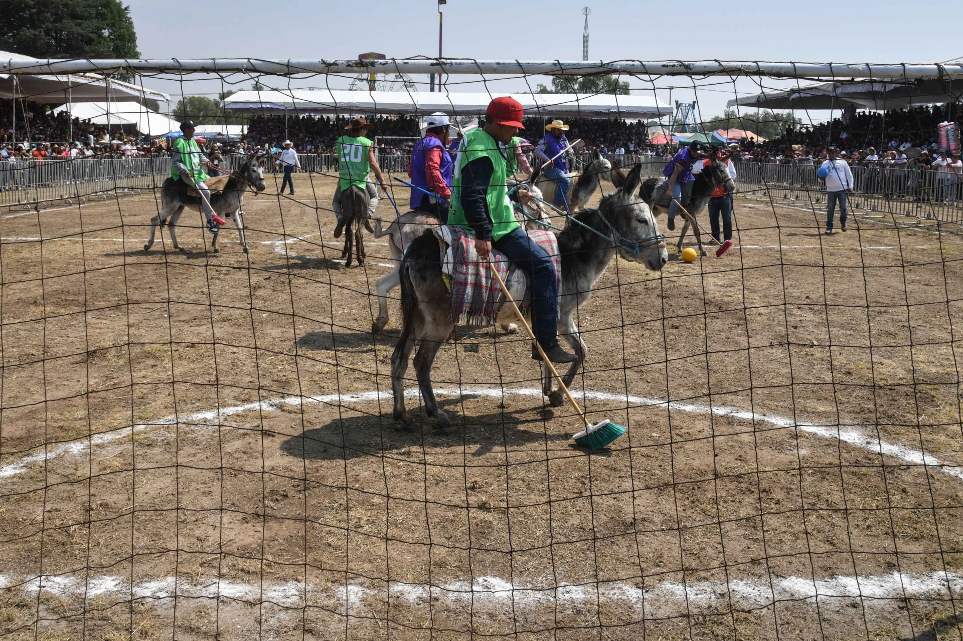 Jinetes montaron a sus burros y utilizaron escobas para golpear los balones. (Cuartoscuro/Mario Jasso).

Burros, equinos, feria nacional del burro 2024, Otumba, México, disfraces, polo, animales, mascotas