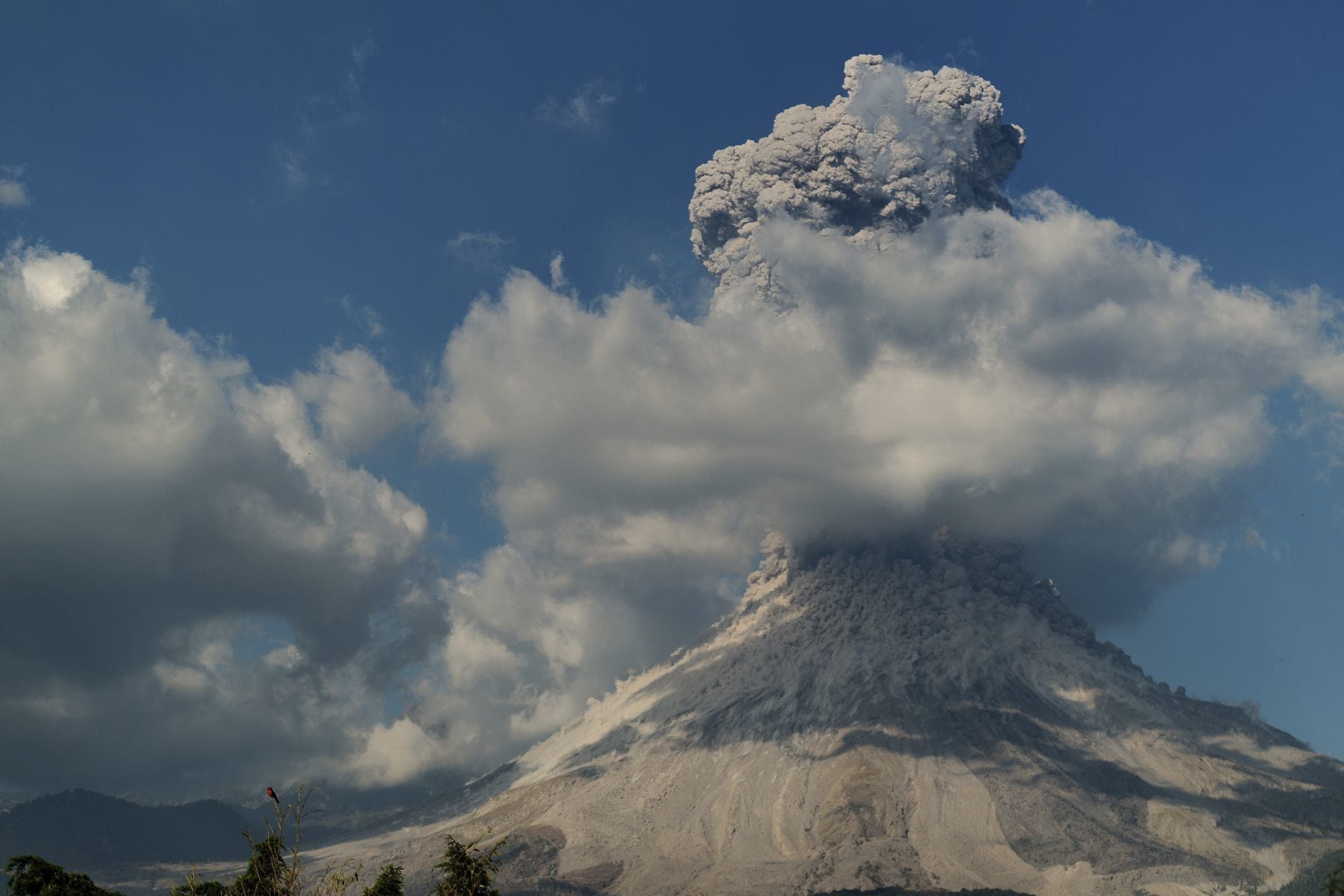El Volcán de Colima, también llamado Volcán de Fuego, se eleva majestuosamente en el paisaje mexicano.(Cuartoscuro)
