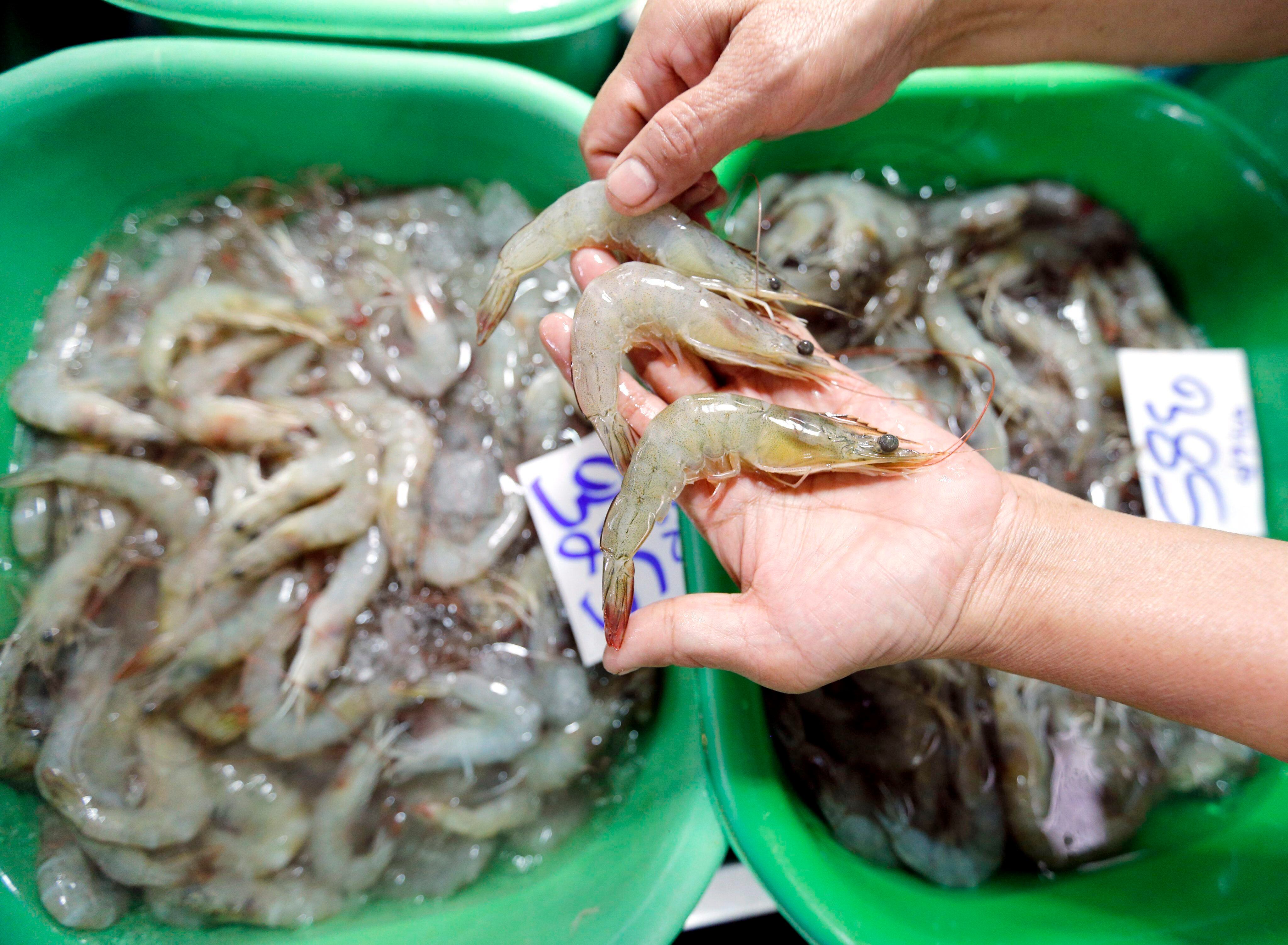 "Hay un deseo de productos de mar sostenibles", sostienen los expertos. (EFE/EPA/NARONG SANGNAK/Archivo)
