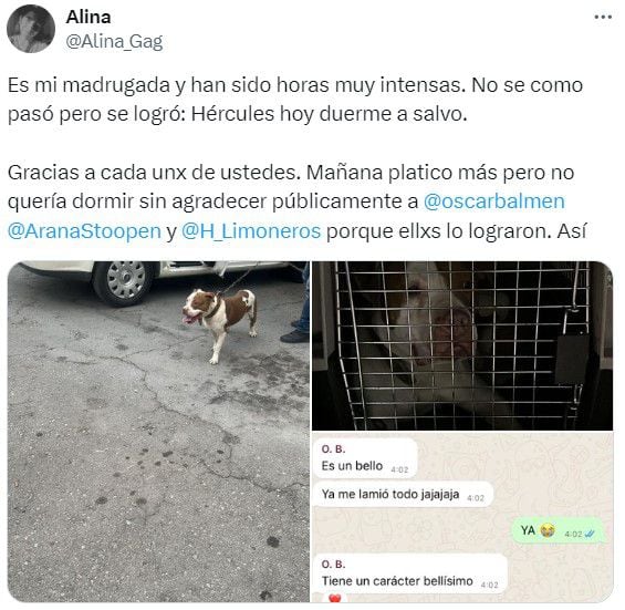 Hércules perro rescatado animalistas edomex