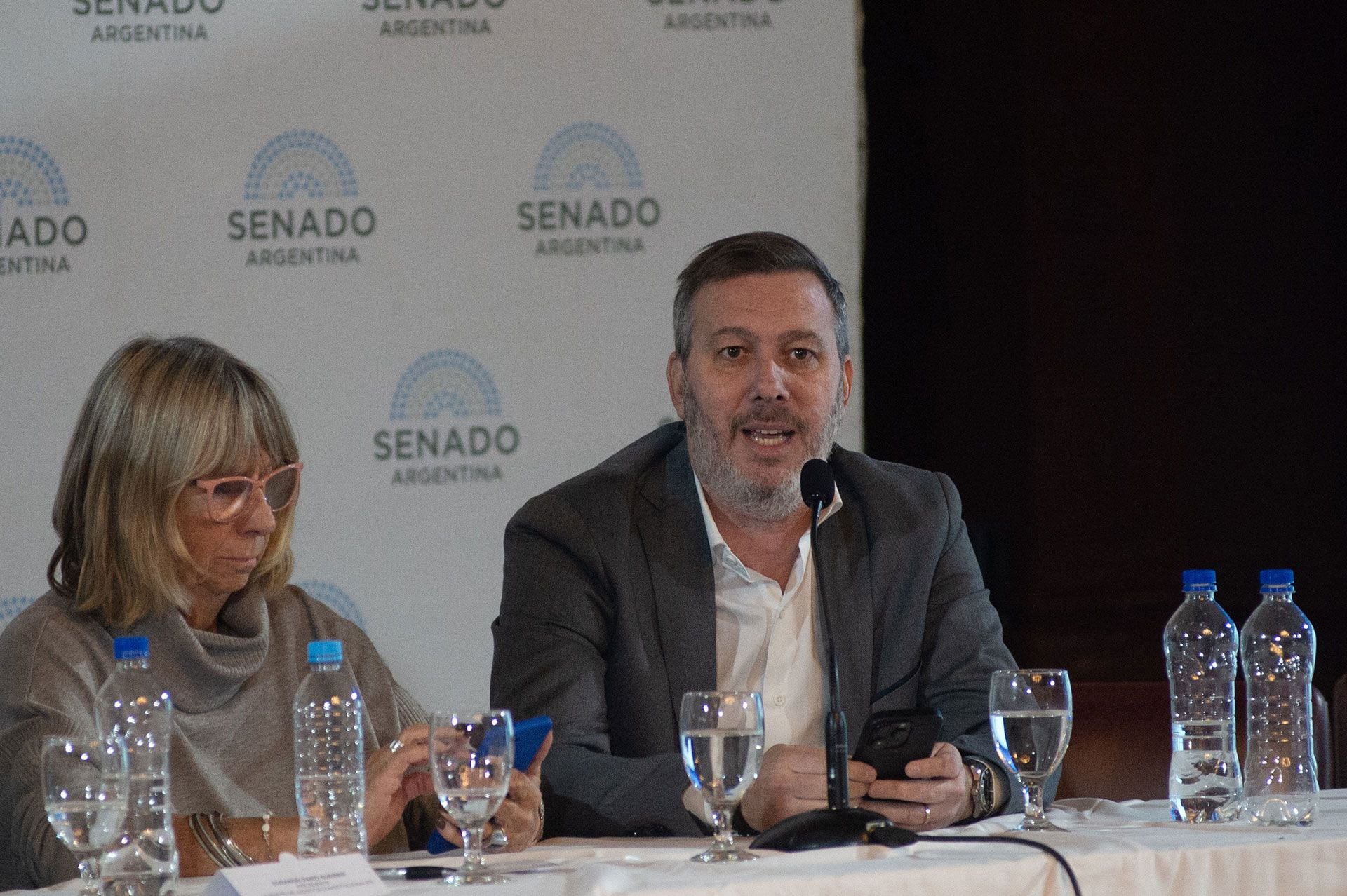 Ley bases en el senado - Plenario de comisiones - 14.05.2024