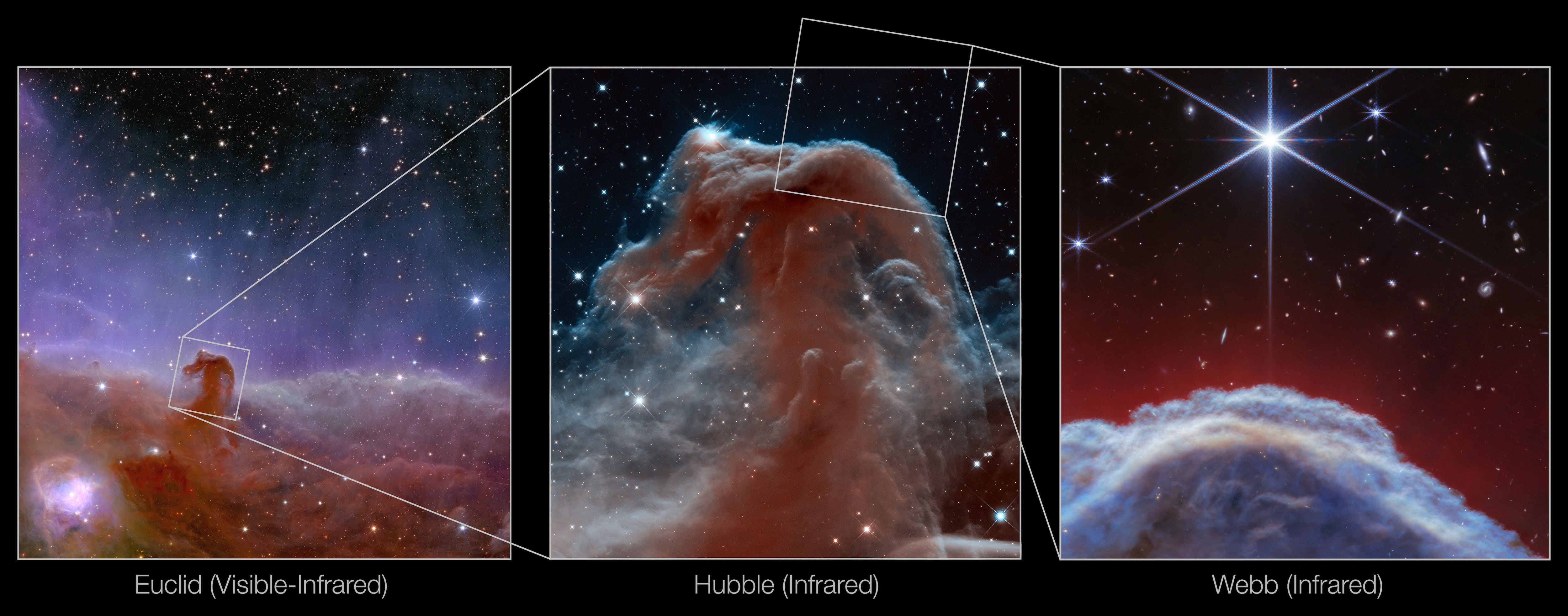 El telescopio espacial James Webb captó imágenes de la icónica nebulosa "Cabeza de Caballo" -una nube de gas fría situada a unos 1.300 años luz de la Tierra- con un nivel de detalle y una resolución sin precedentes. (NASA/ESA. EFE)
