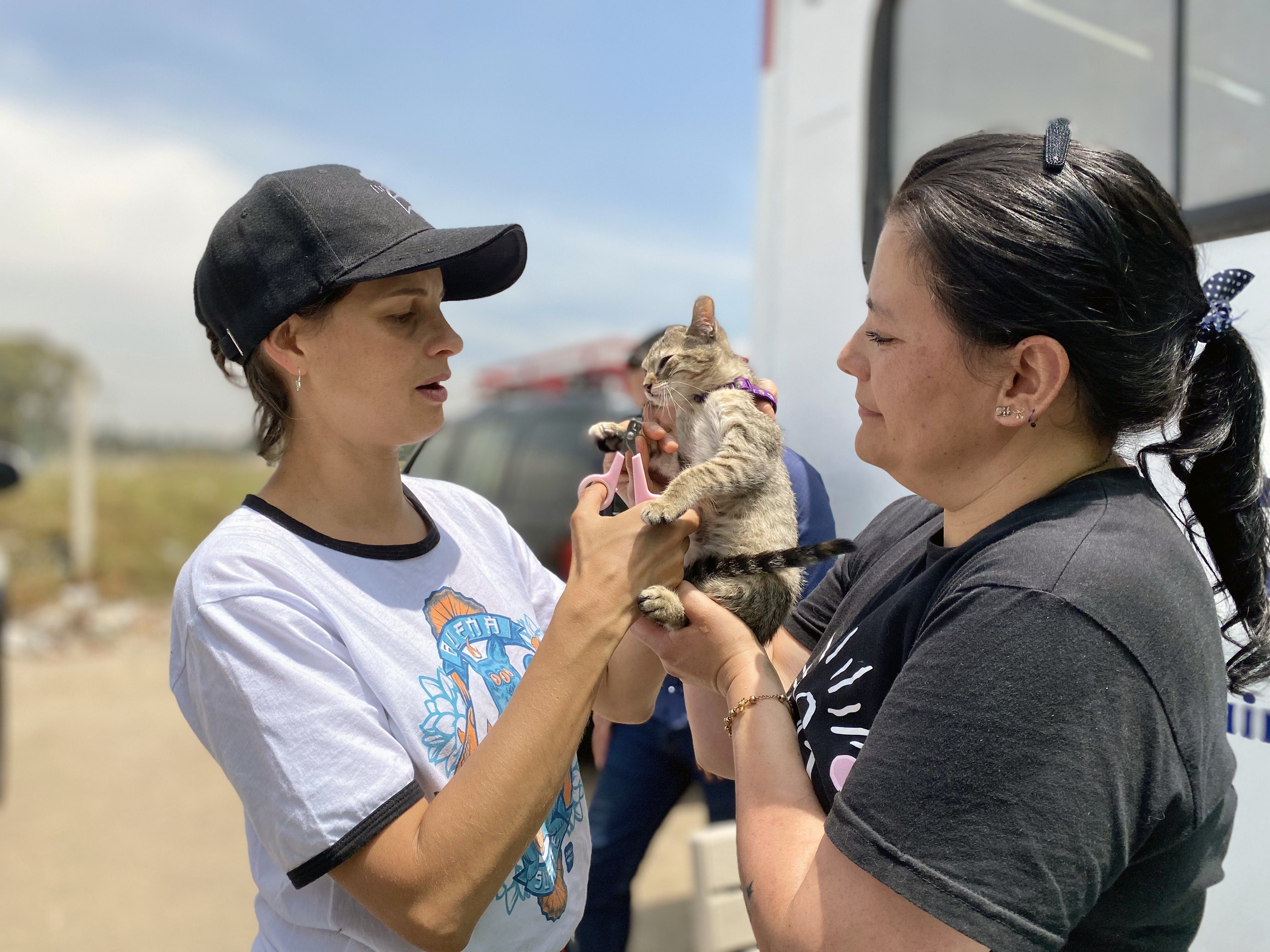 Andrea Padilla, de activista a senadora: un hito en la política por los derechos de los animales en Colombia Encabezado: La elección de Andrea Padilla como senadora representa un avance significativo para la protección animal, marcando un precedente en la incorporación de estas causas en el ámbito político nacional - crédito suministrada a Infobae