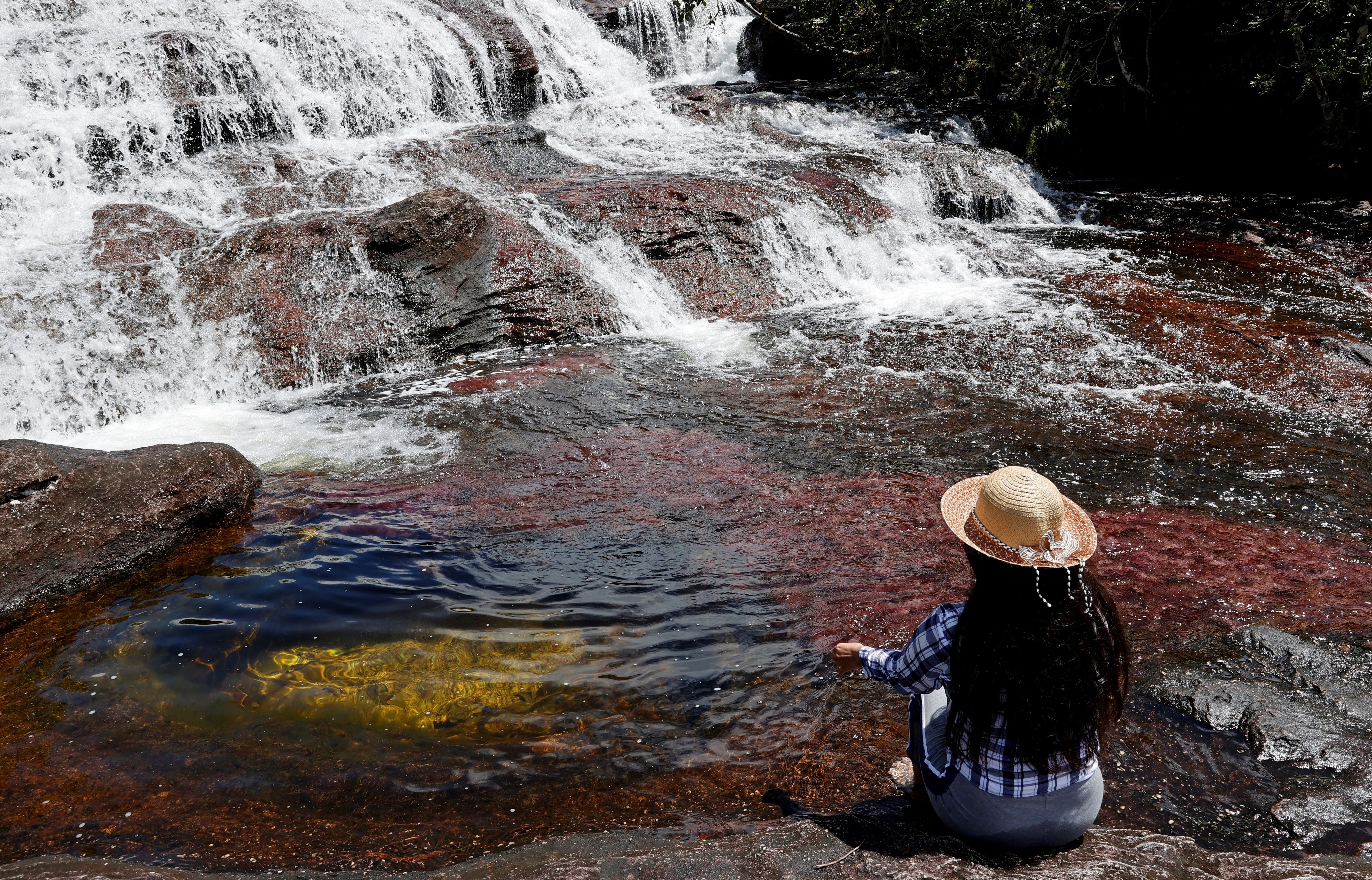 Caño Cristales también es conocido como el río de los cinco colores- crédito Mauricio Dueñas/EFE 
