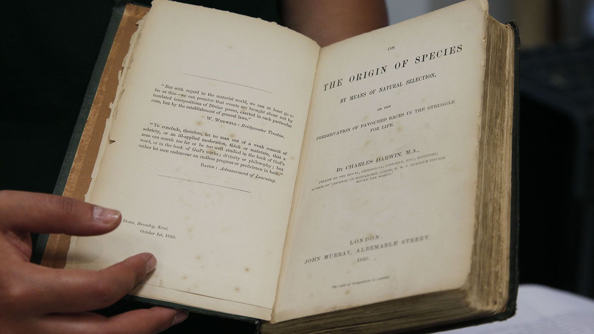 Un ejemplar de la primera edición de "El Origen de las Especies", el histórico libro del naturalista Charles Darwin publicado en 1859 (EFE/Sáshenka Gutiérrez)
