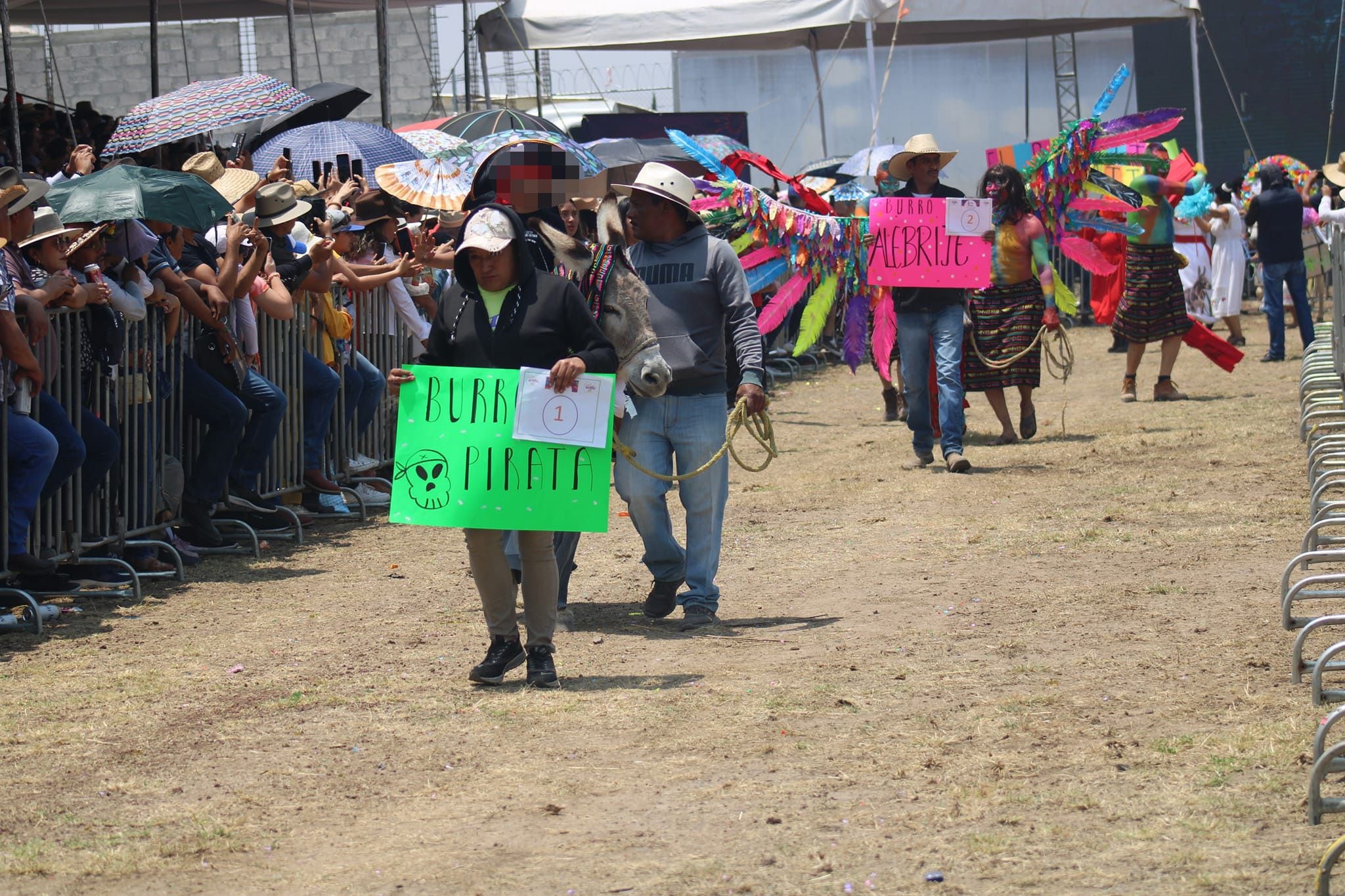 El "burro pirata" y el "burro alebrije" fueron algunos de los favoritos de los espectadores. (Facebook/Feria Nacional del Burro Otumba 2024).

Burros, equinos, feria nacional del burro 2024, Otumba, México, disfraces, polo, animales, mascotas